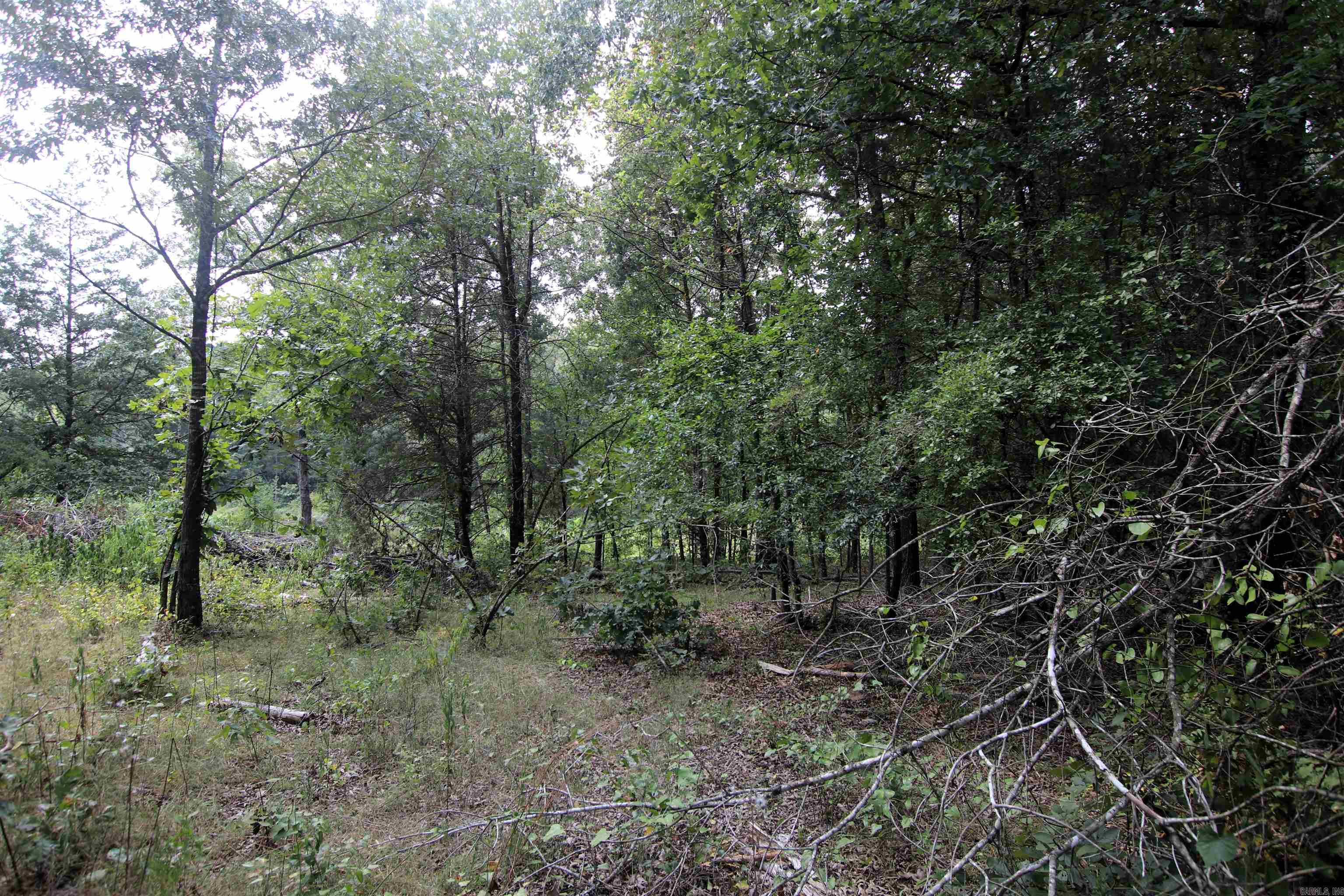 000 Ar 95 Highway Property Photo 24