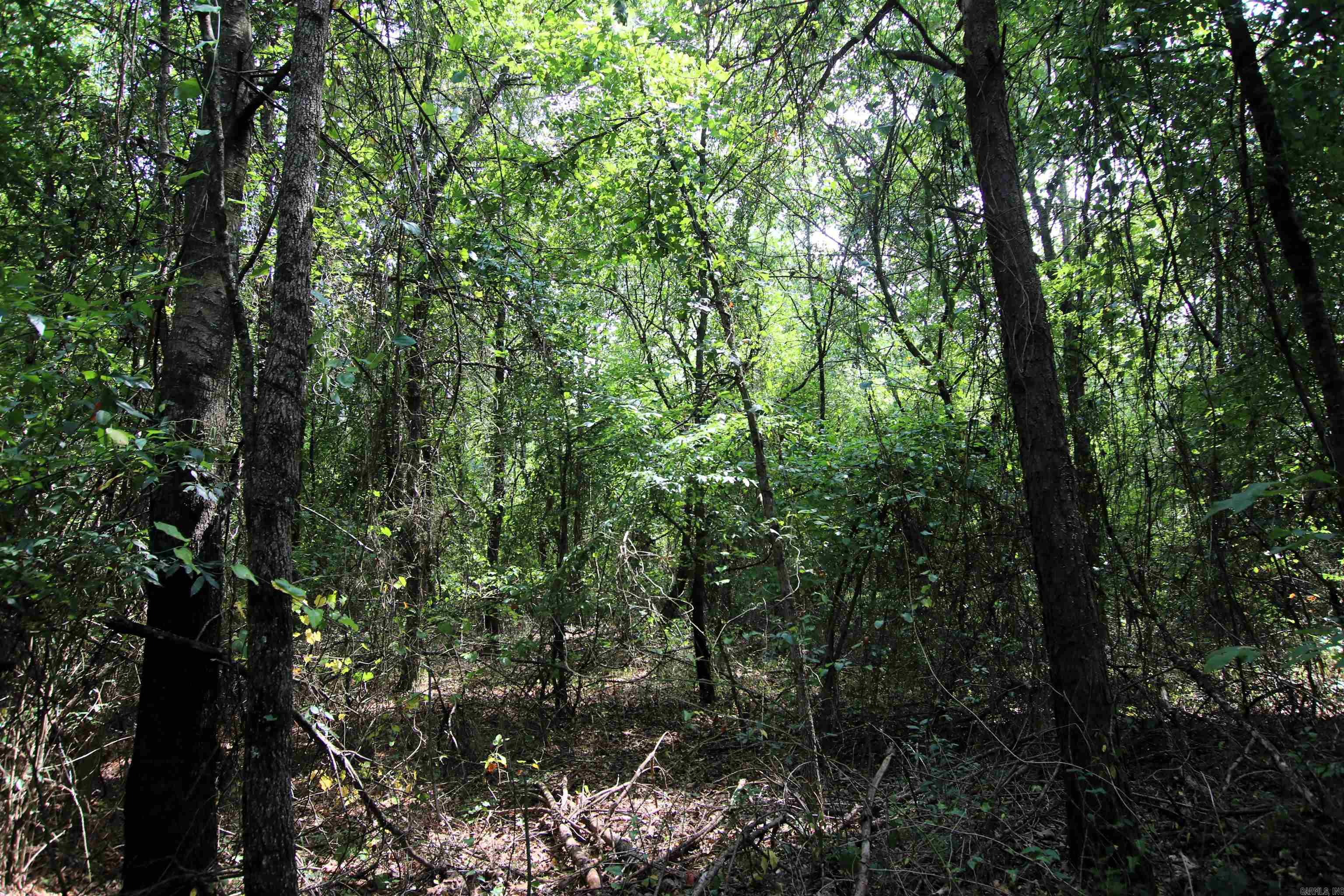 000 Ar 95 Highway Property Photo 28