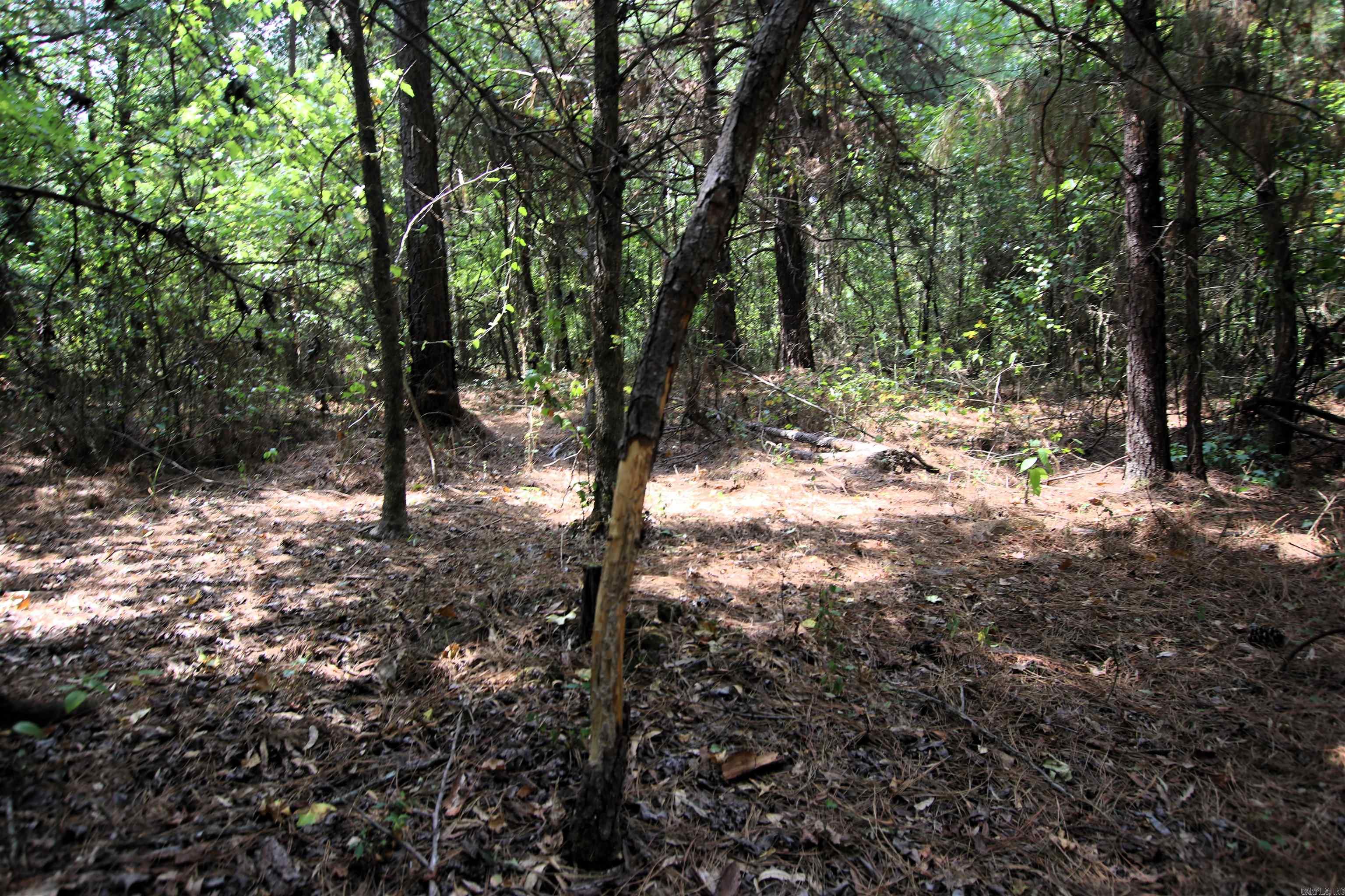 000 Ar 95 Highway Property Photo 30