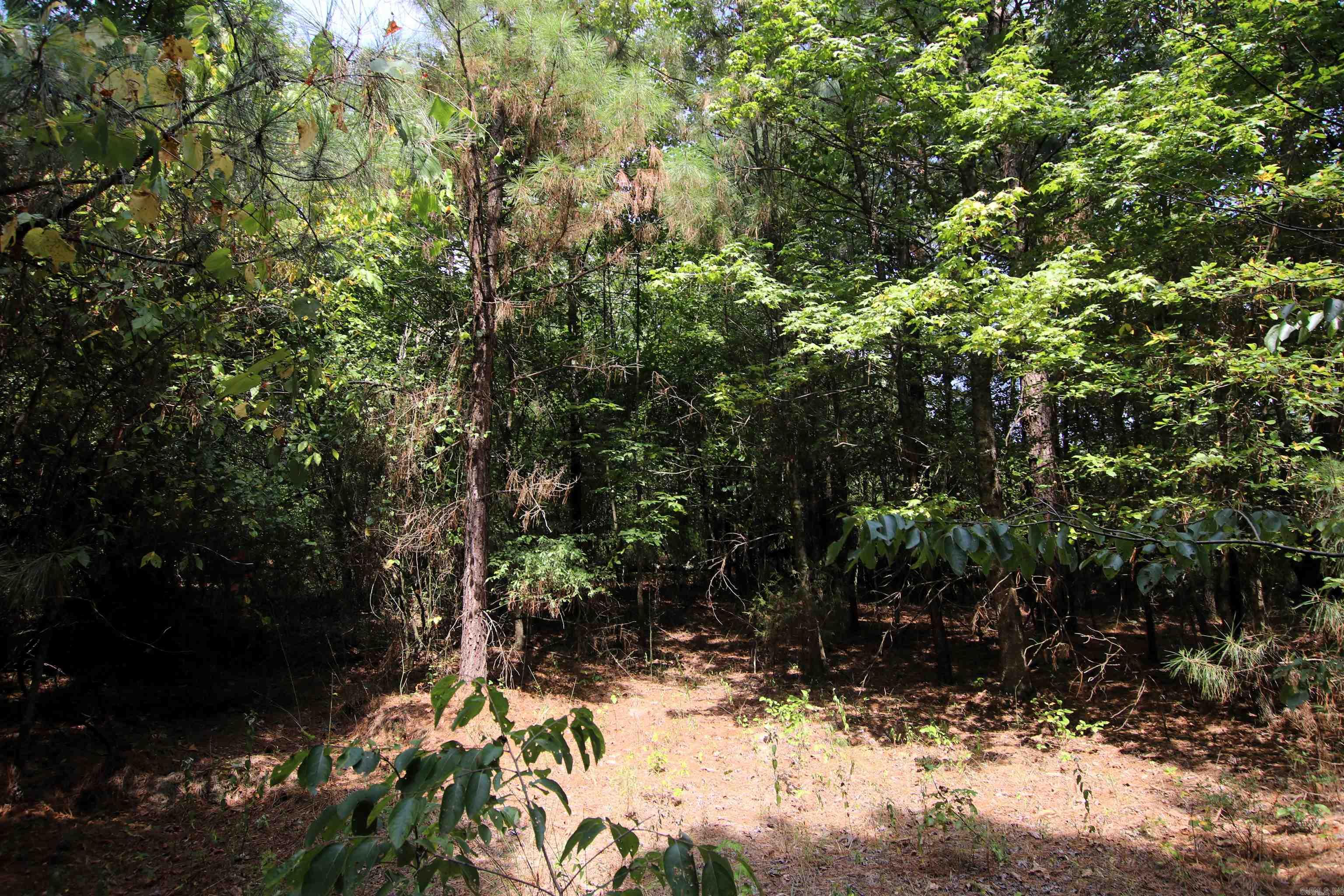 000 Ar 95 Highway Property Photo 31