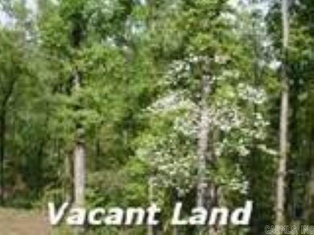 00 Jeff Davis Drive Property Photo 1