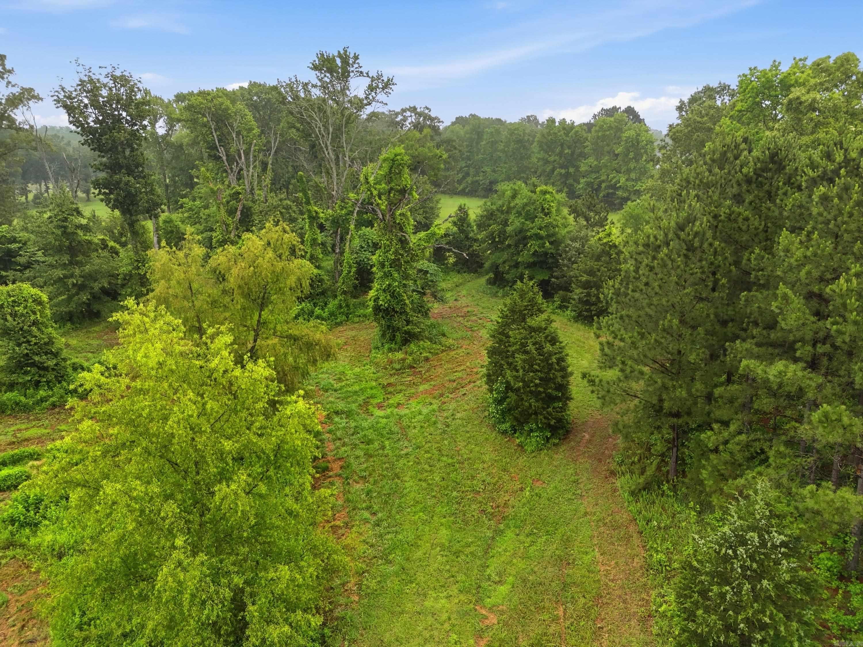Tbd Vilaco Lane Property Photo 8