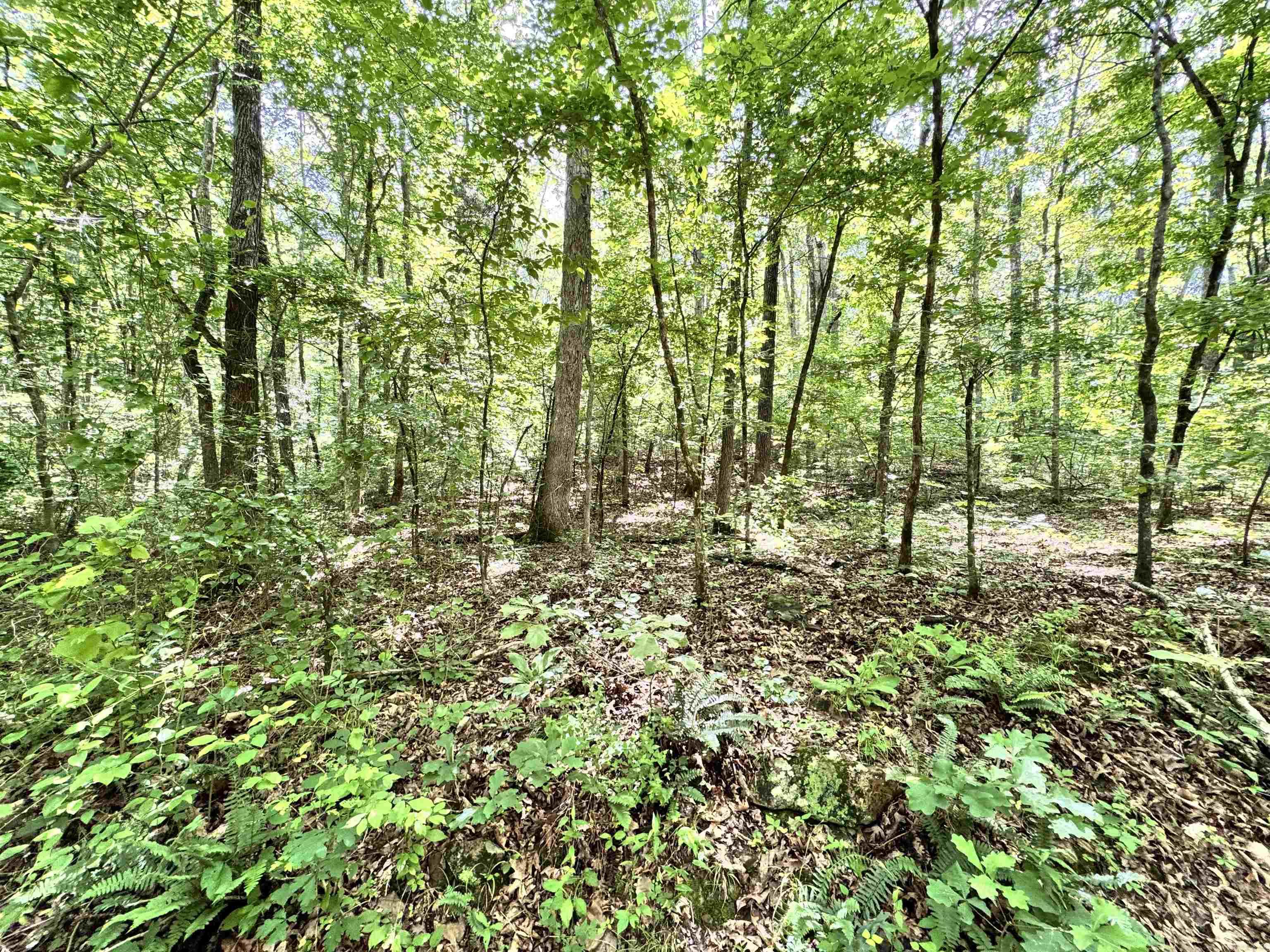 00 Red River Road Property Photo 1