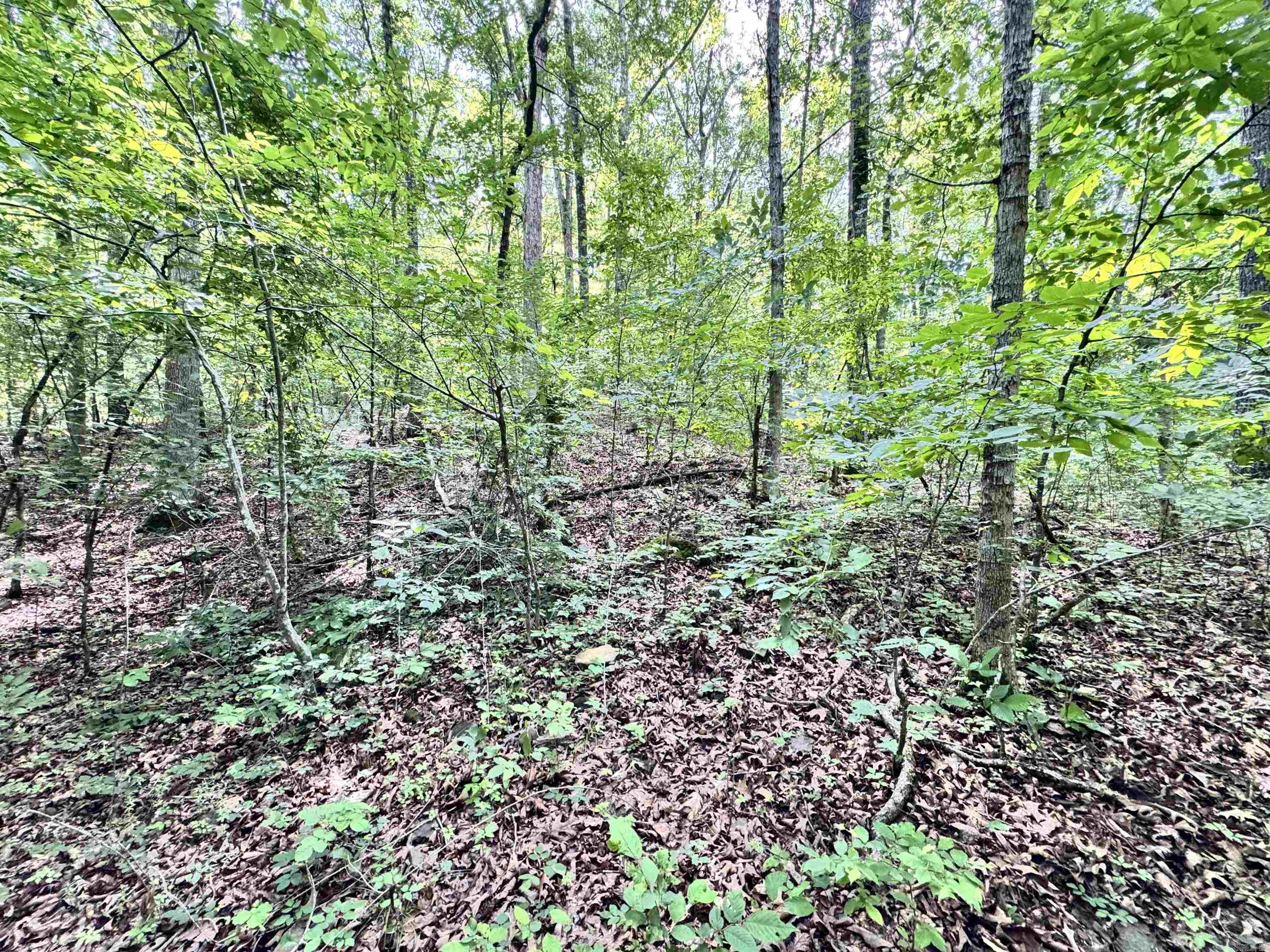 00 Red River Road Property Photo 2