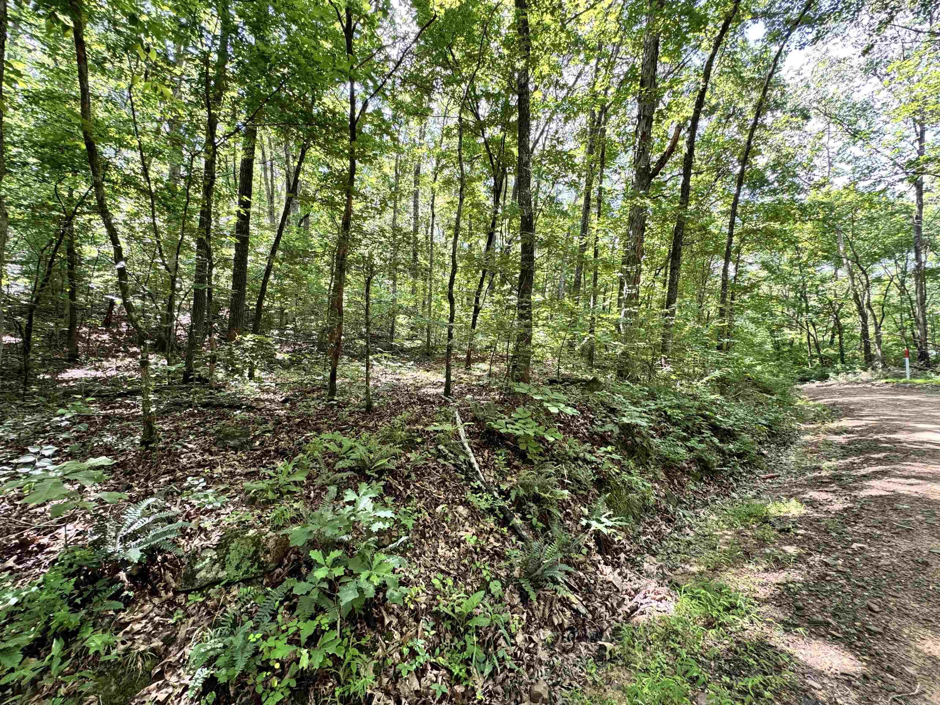 00 Red River Road Property Photo 3