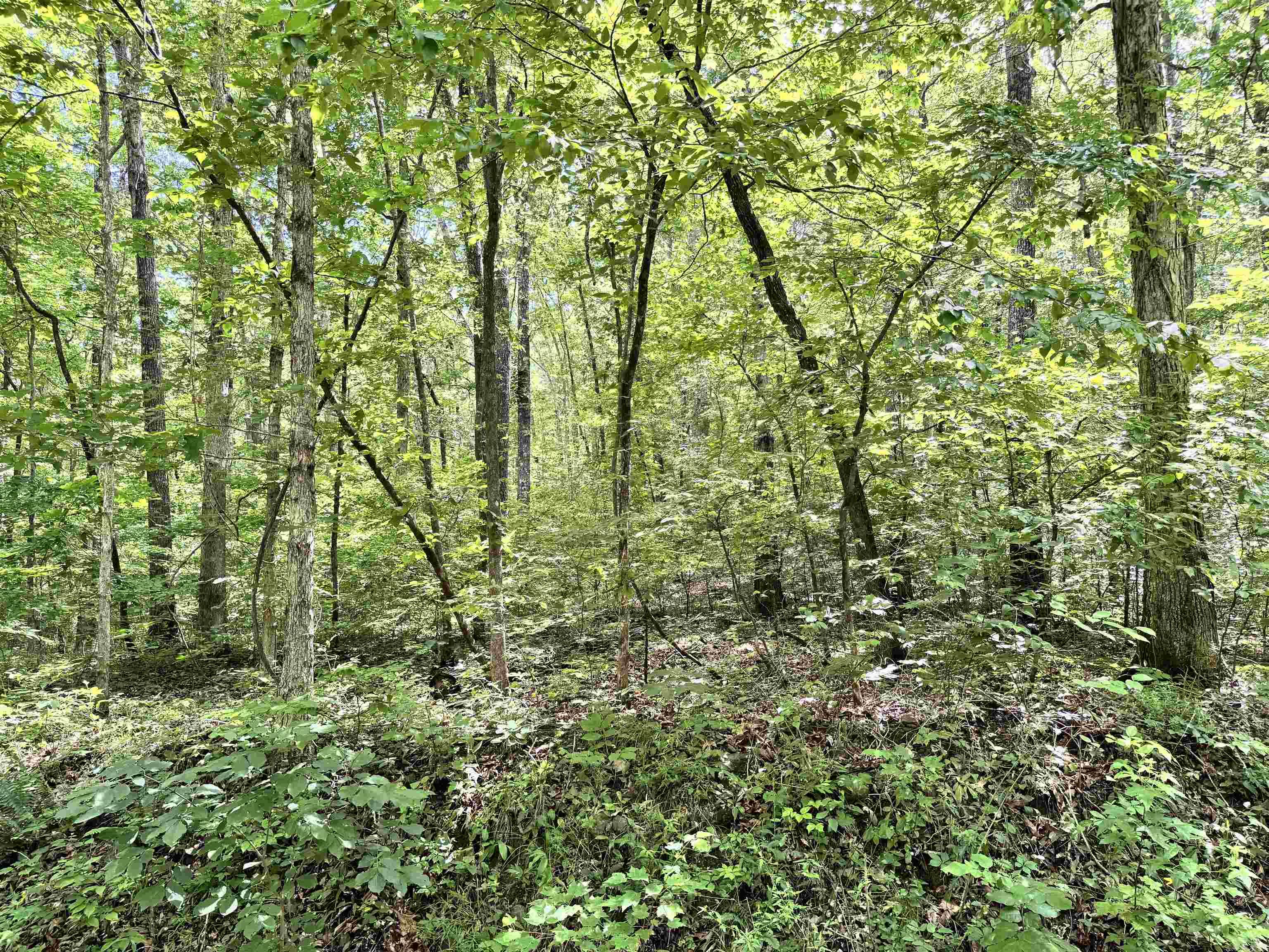 00 Red River Road Property Photo 5