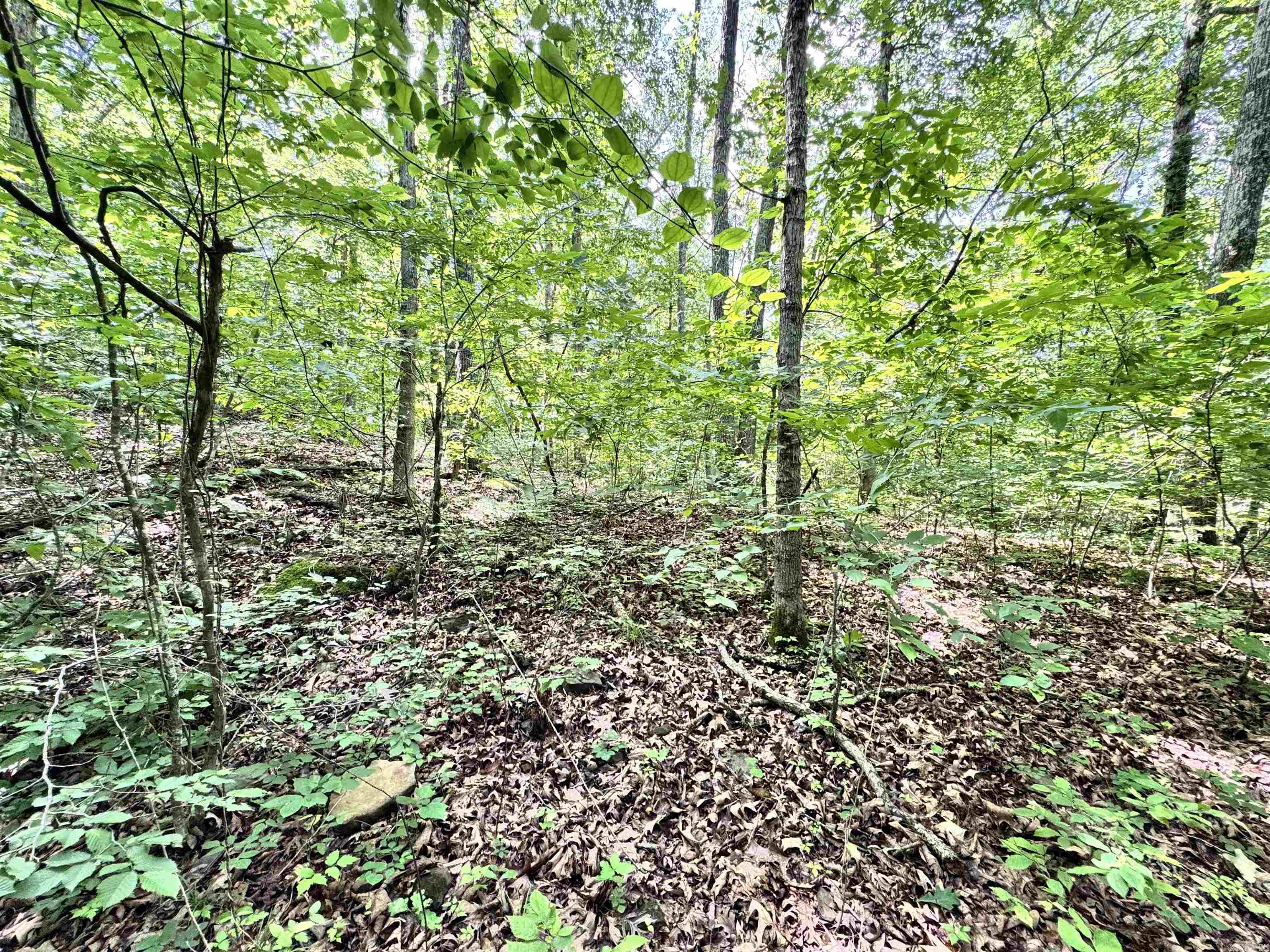 00 Red River Road Property Photo 6
