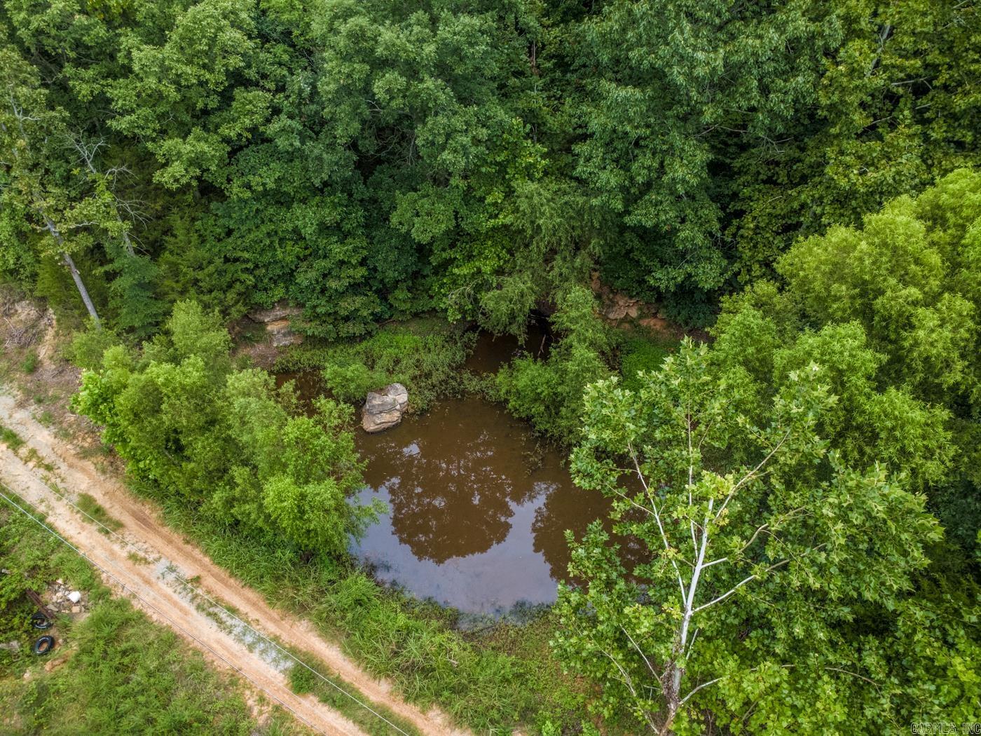 1431 Persimmon Pond Road Property Photo 3