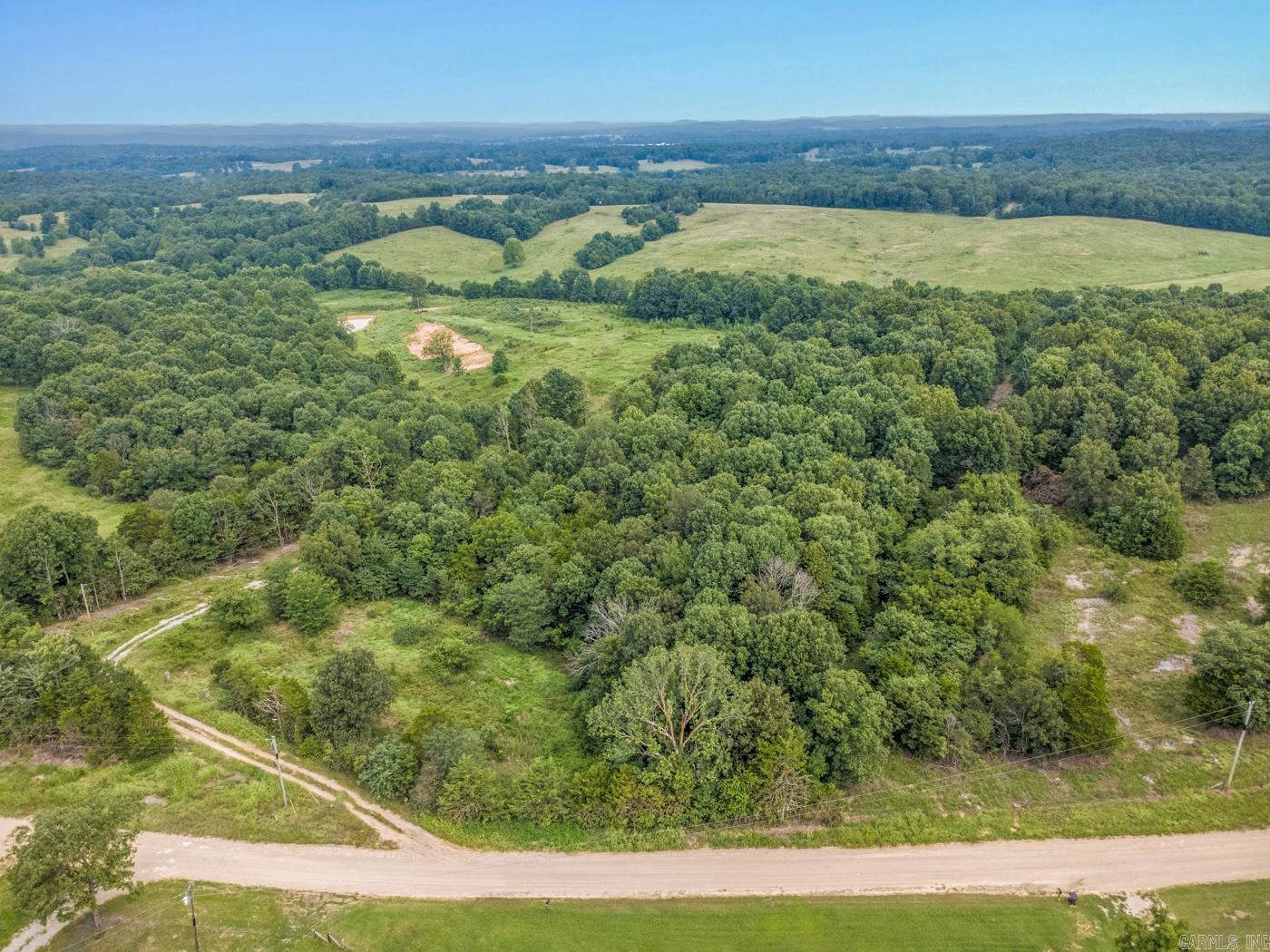 1431 Persimmon Pond Road Property Photo 4