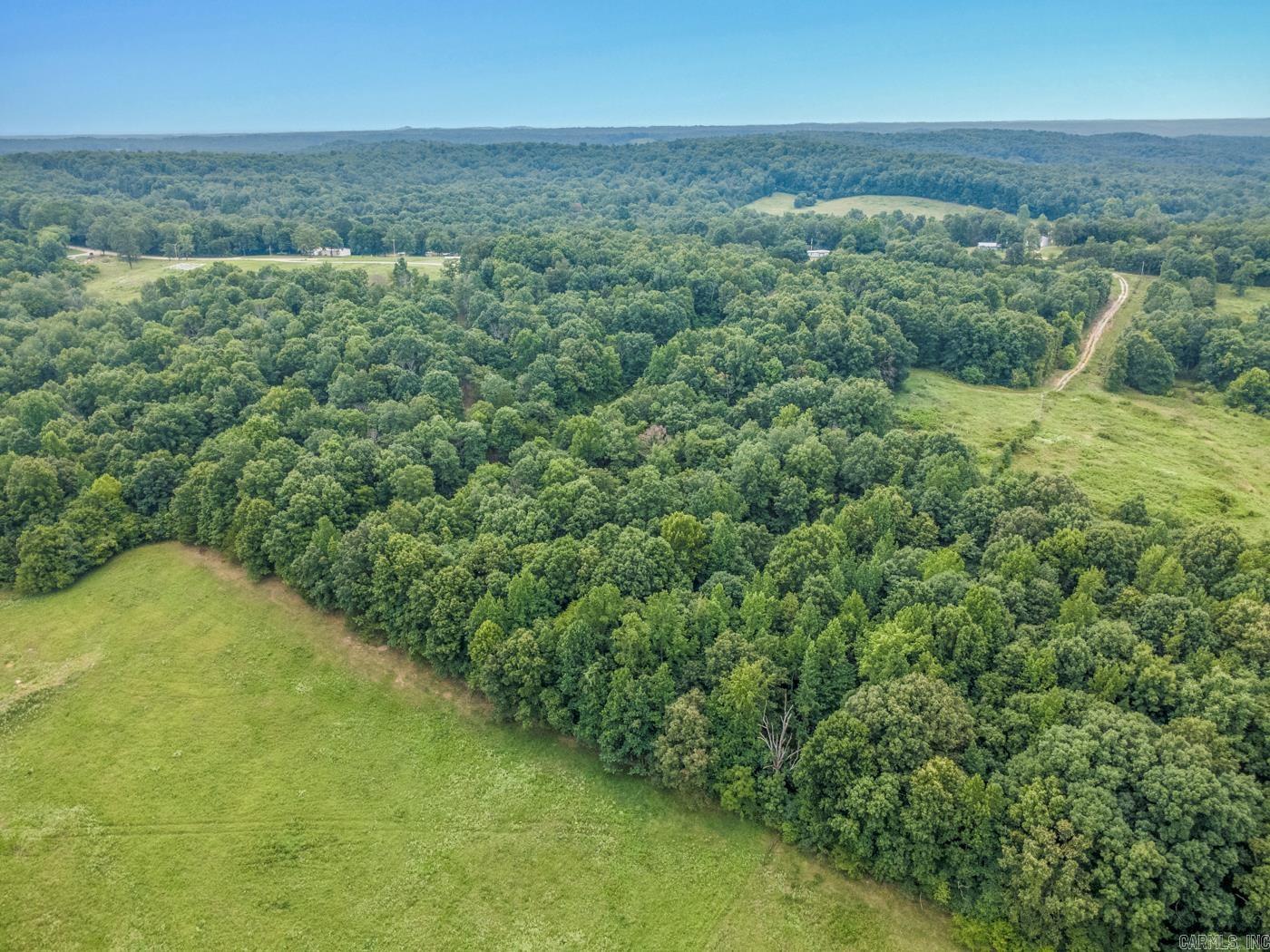 1431 Persimmon Pond Road Property Photo 6