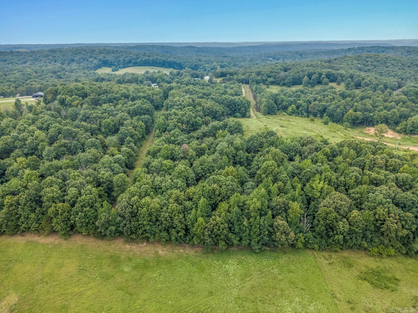 1431 Persimmon Pond Road Property Photo 7