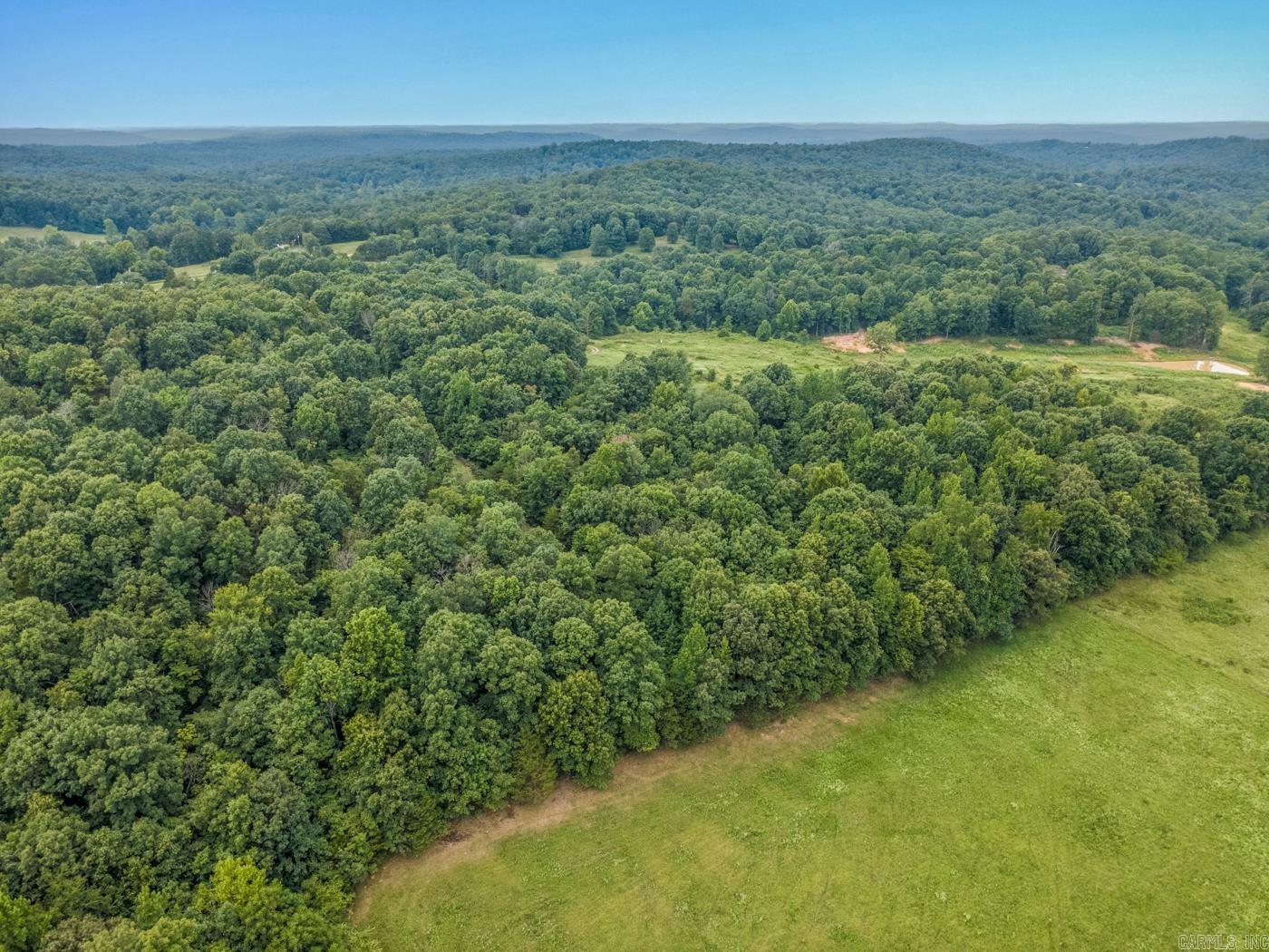 1431 Persimmon Pond Road Property Photo 8