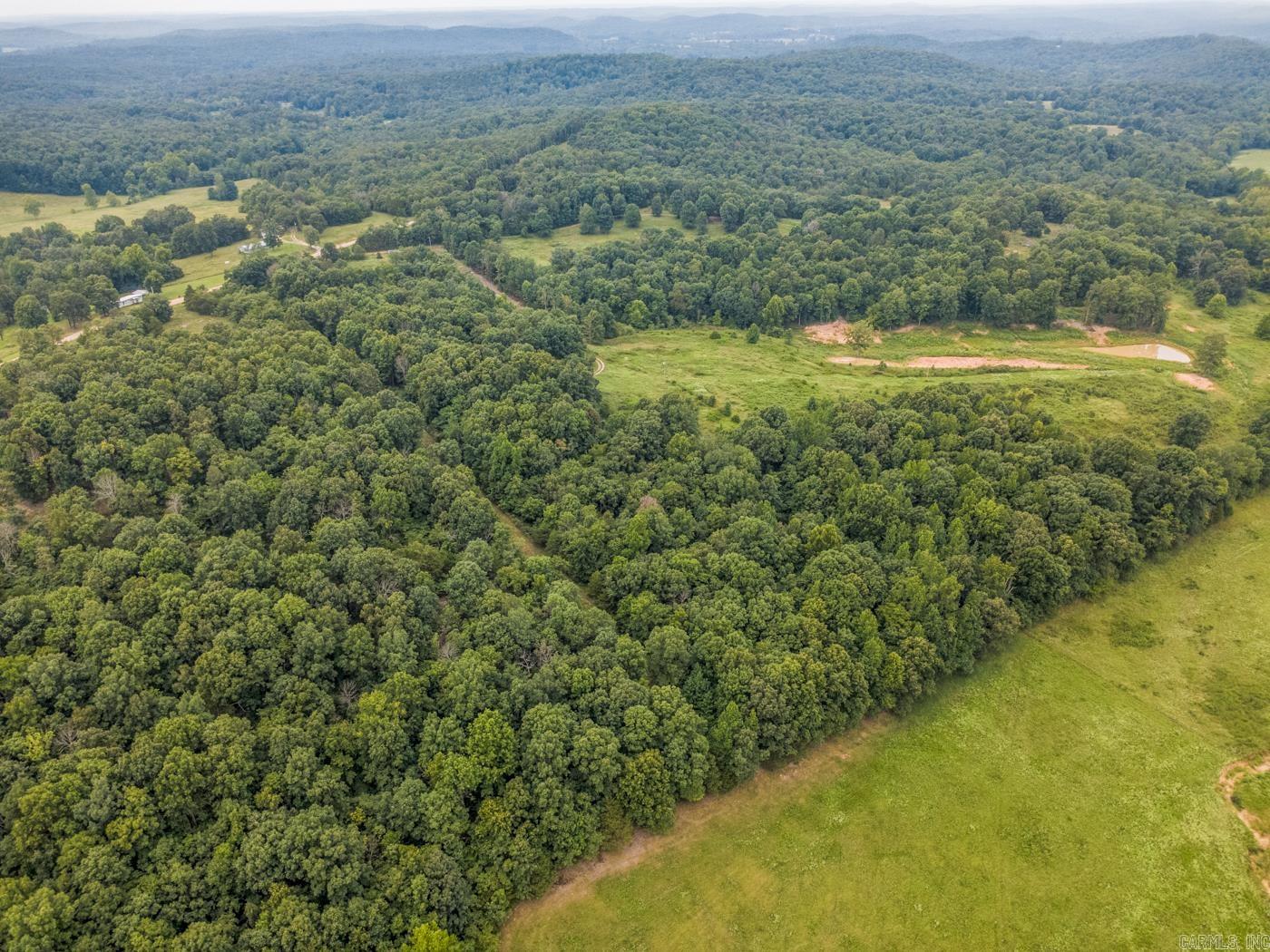 1431 Persimmon Pond Road Property Photo 9