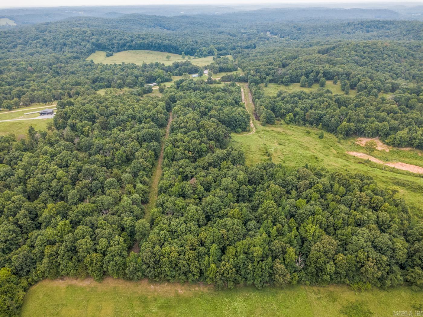 1431 Persimmon Pond Road Property Photo 10