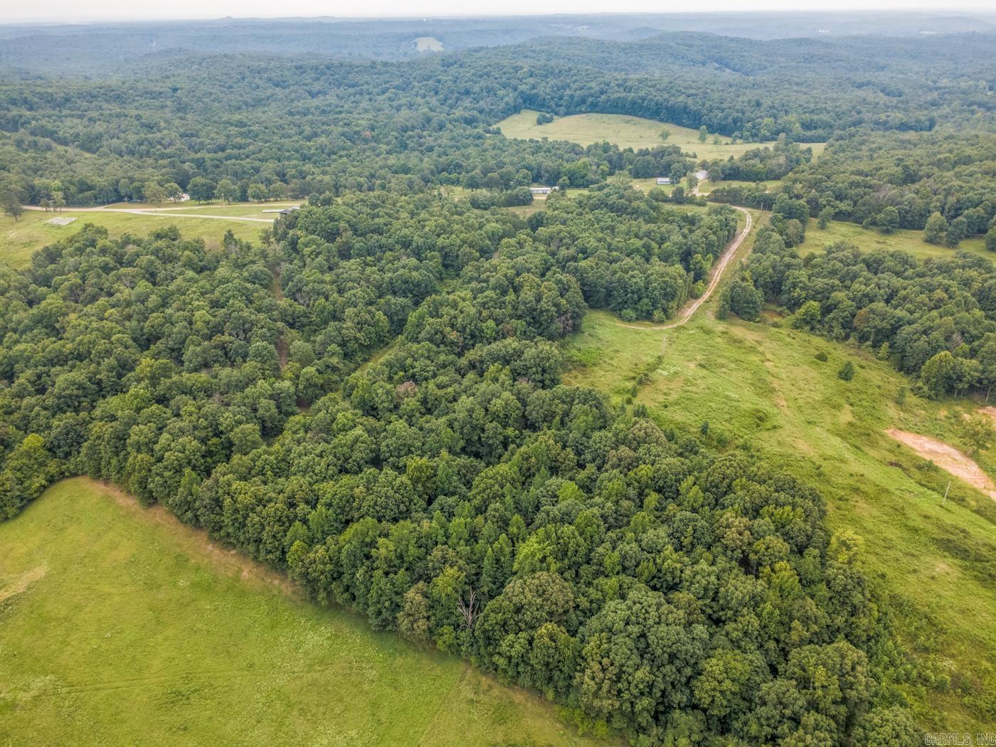 1431 Persimmon Pond Road Property Photo 11