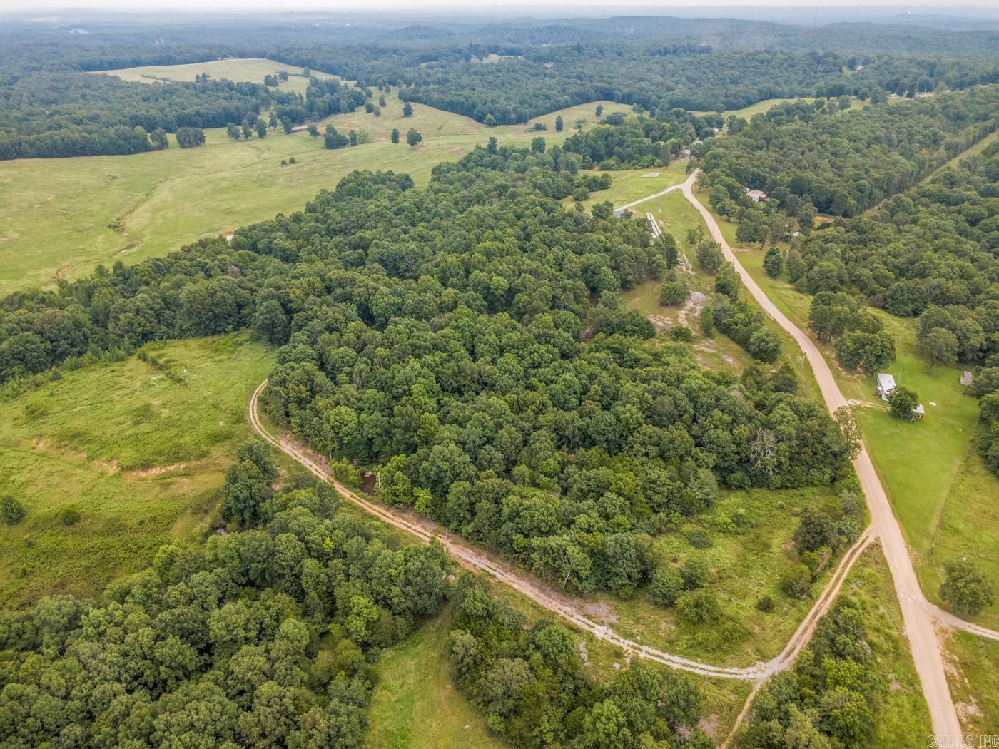 1431 Persimmon Pond Road Property Photo 12