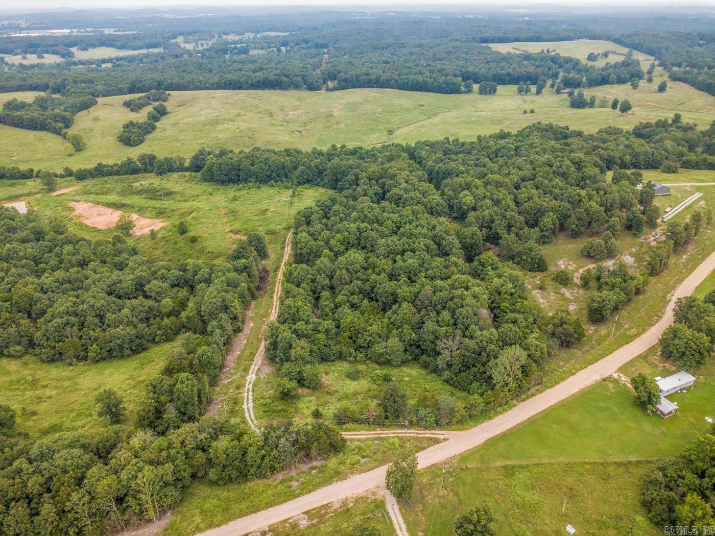 1431 Persimmon Pond Road Property Photo 13