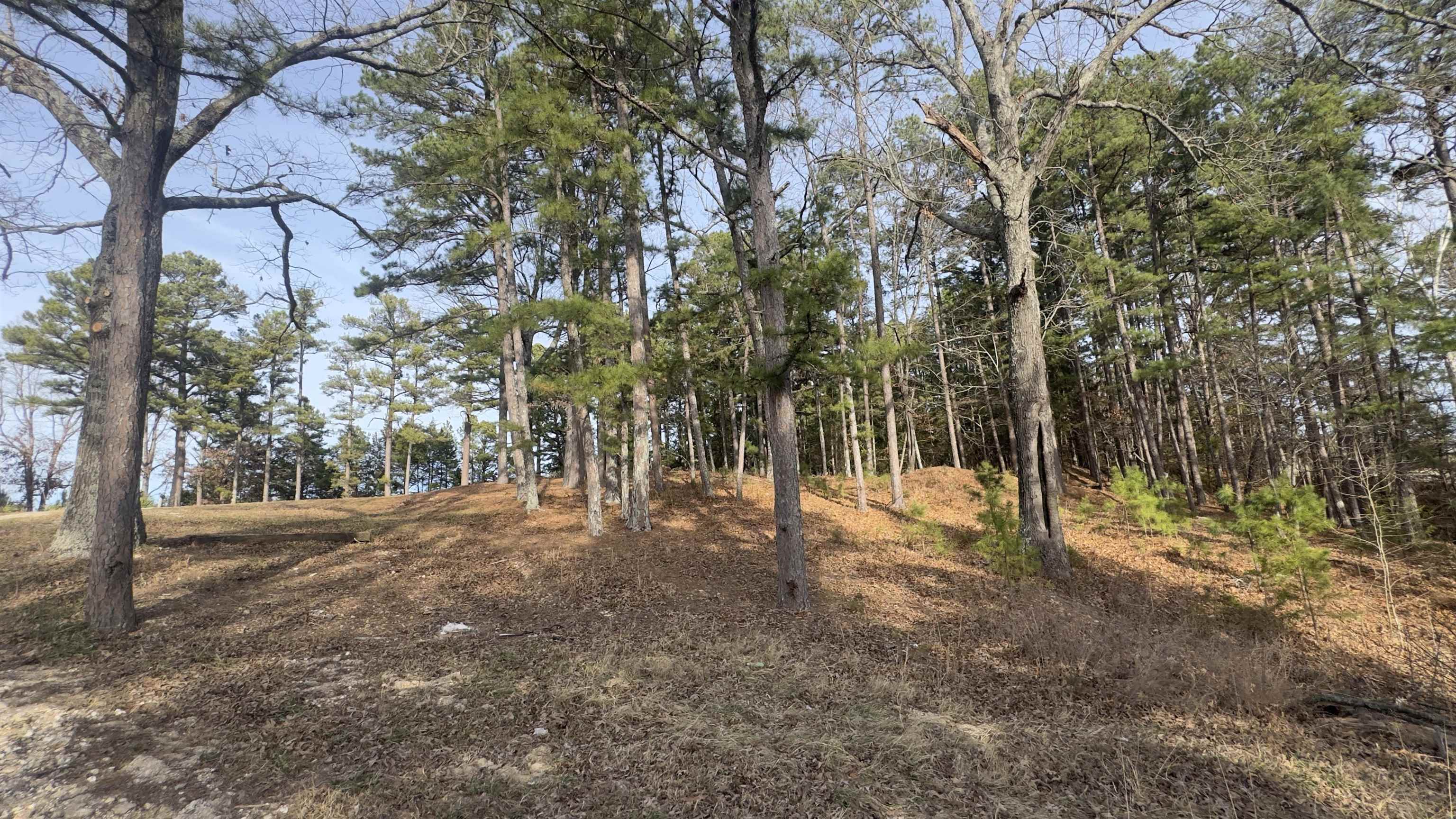 700 Wideman Road Property Photo 20