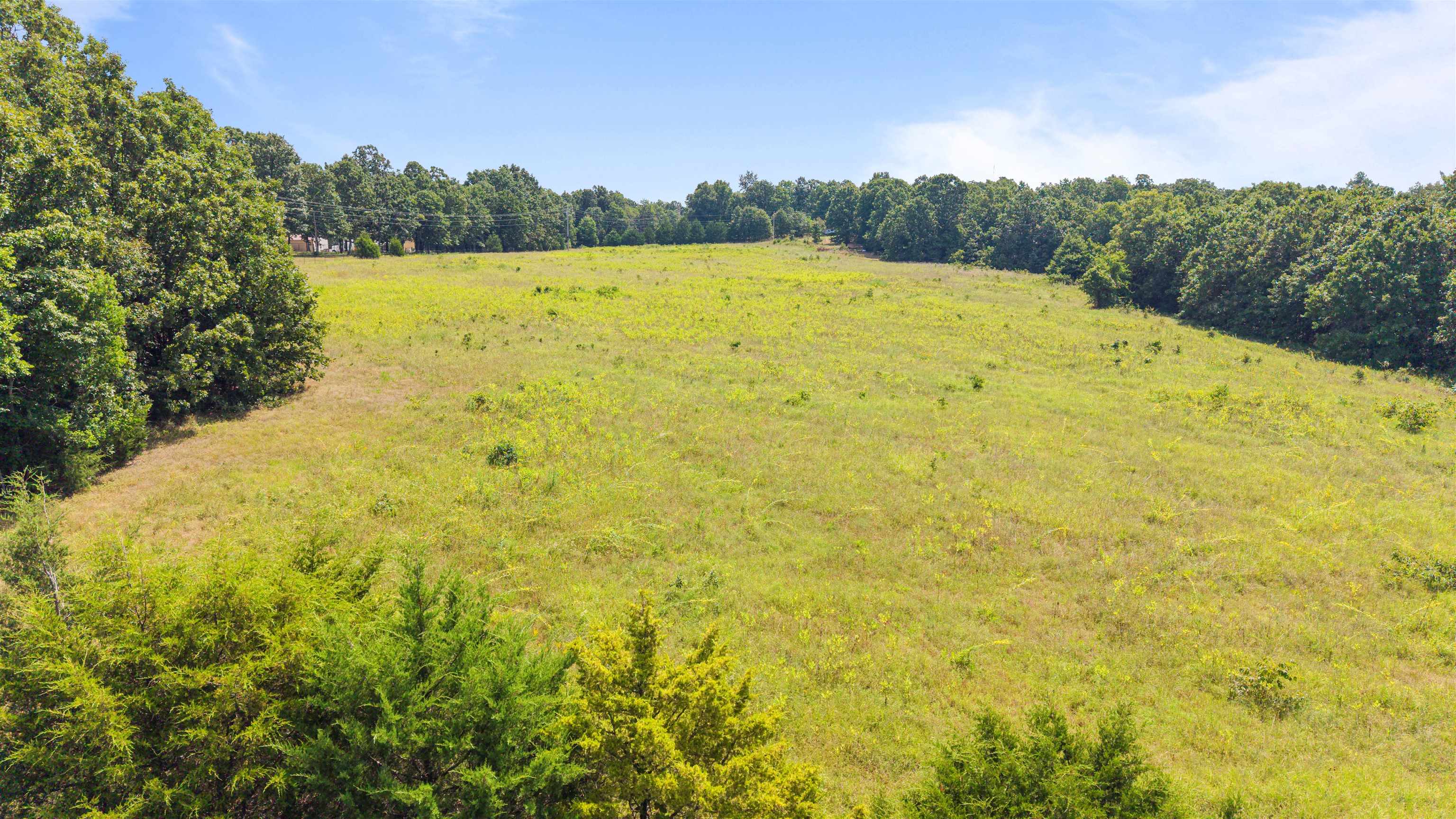 113 Brookhaven Trail Property Photo 3