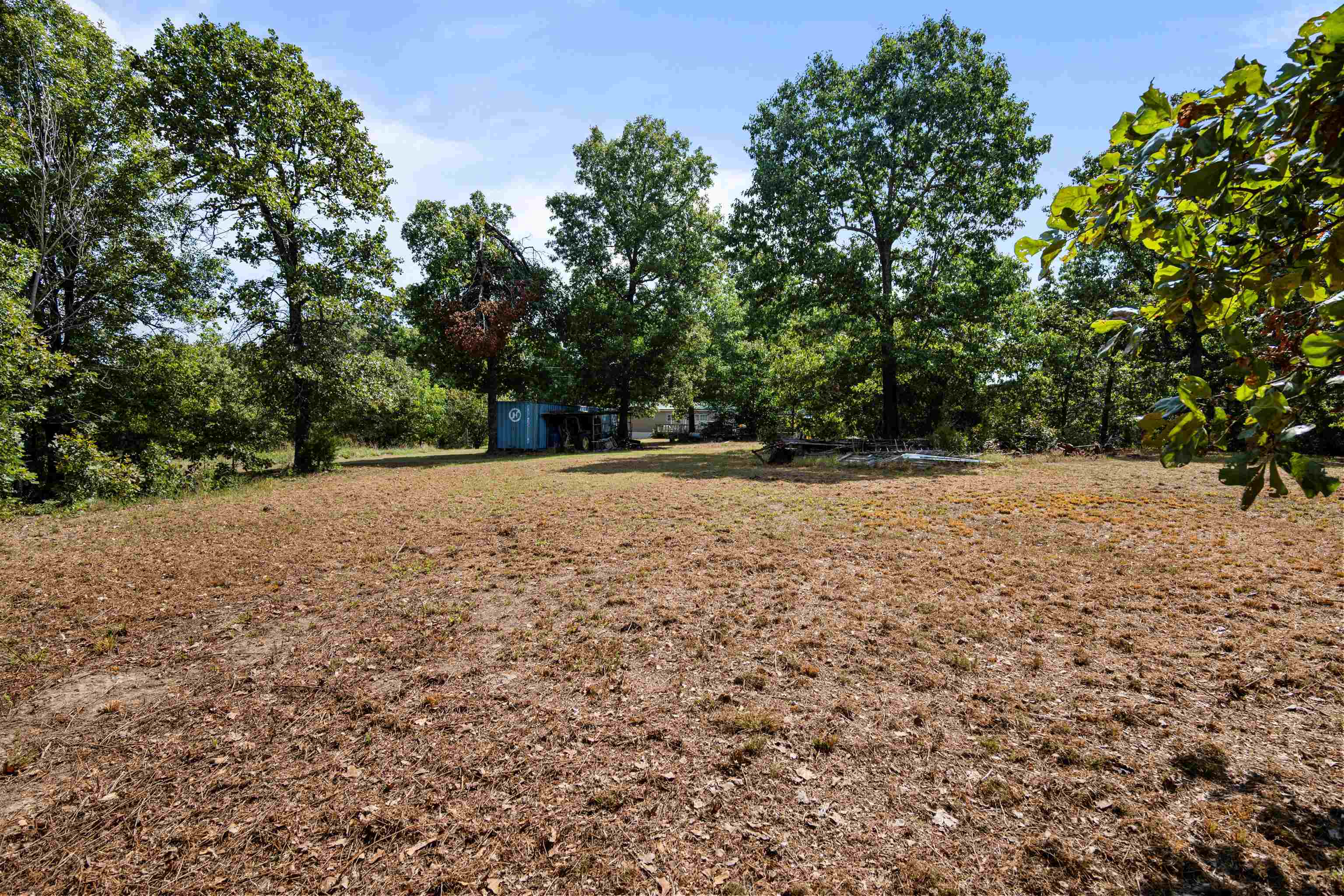 113 Brookhaven Trail Property Photo 23