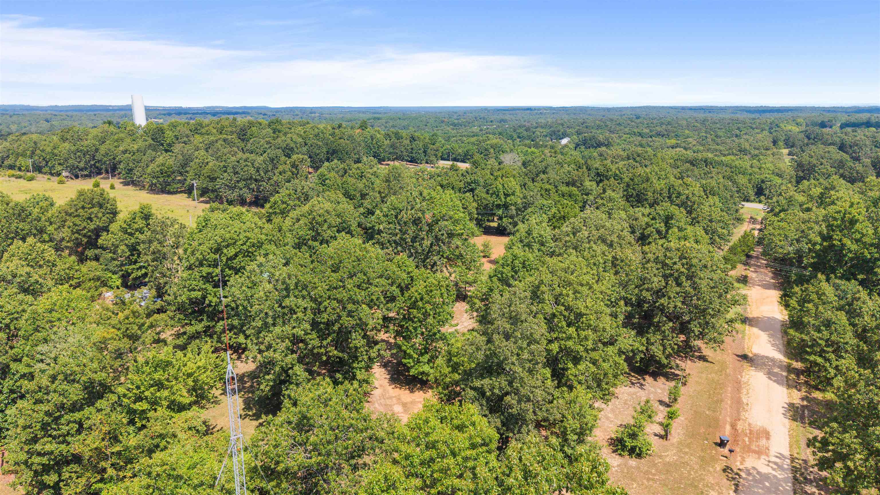 113 Brookhaven Trail Property Photo 31
