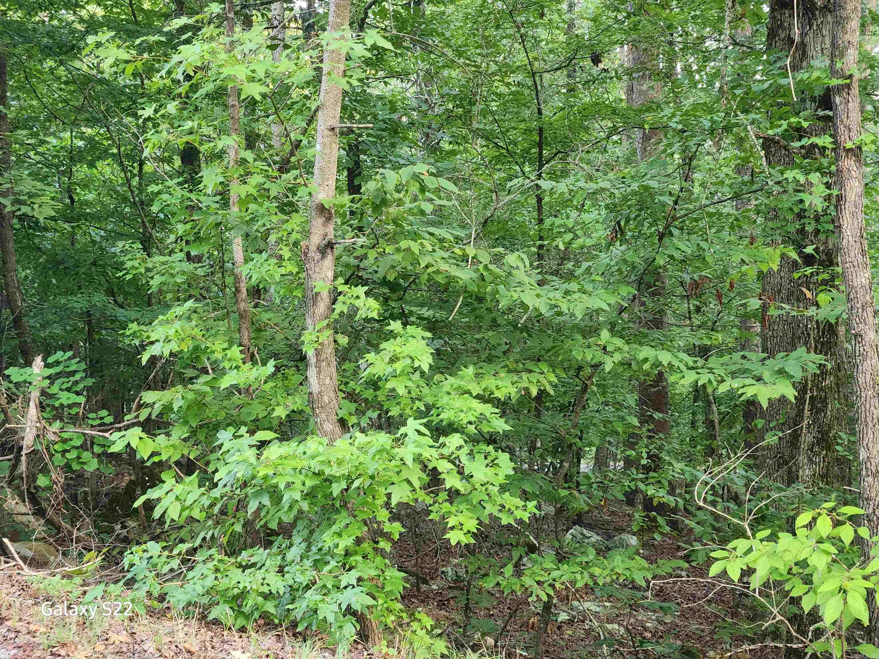 7 Jaguar Way Property Photo 2