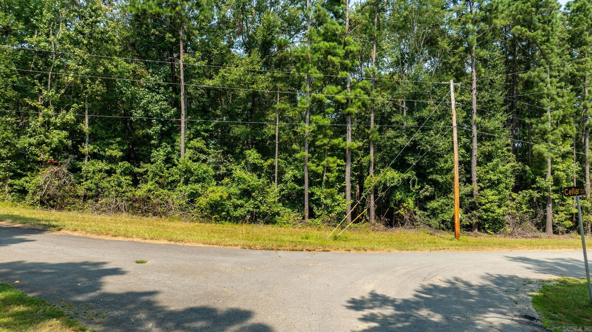 Tbd Sarlo Dr Property Photo 3