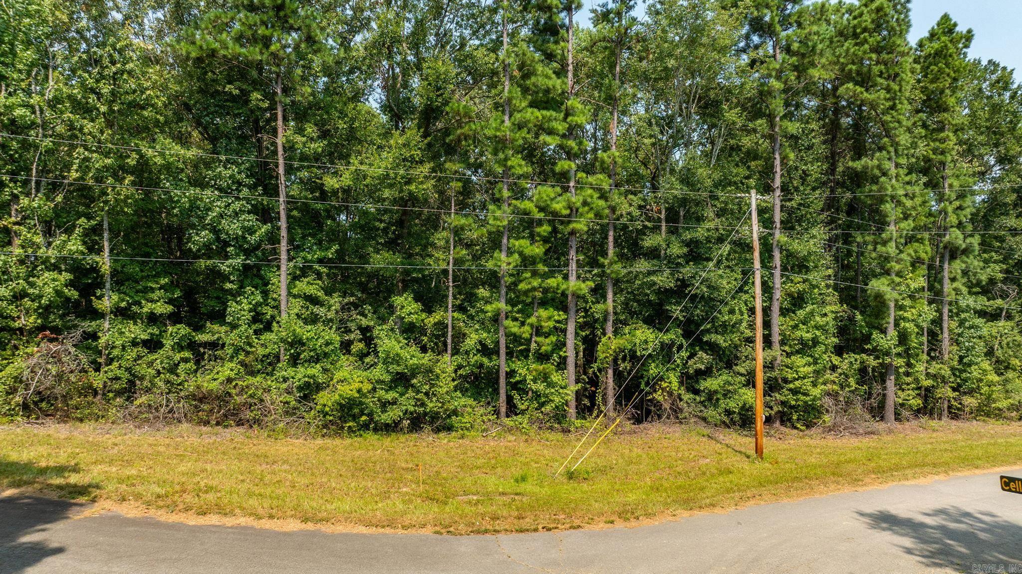 Tbd Sarlo Dr Property Photo 8