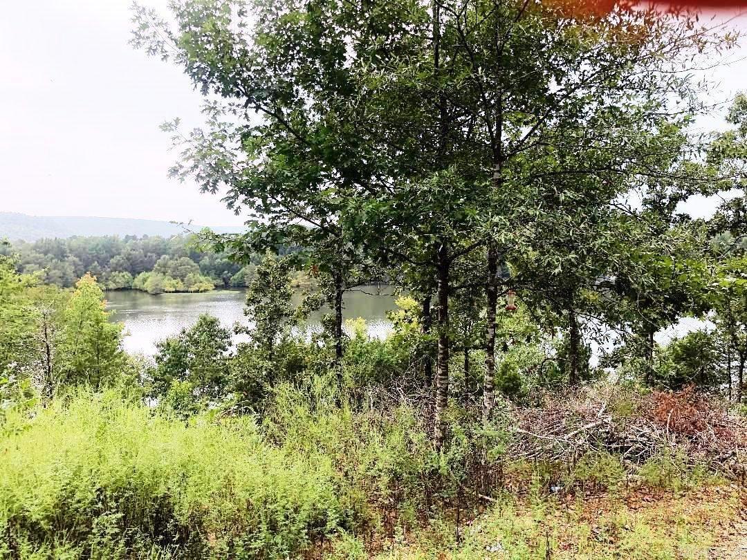 00 Eagle Drive Property Photo 3