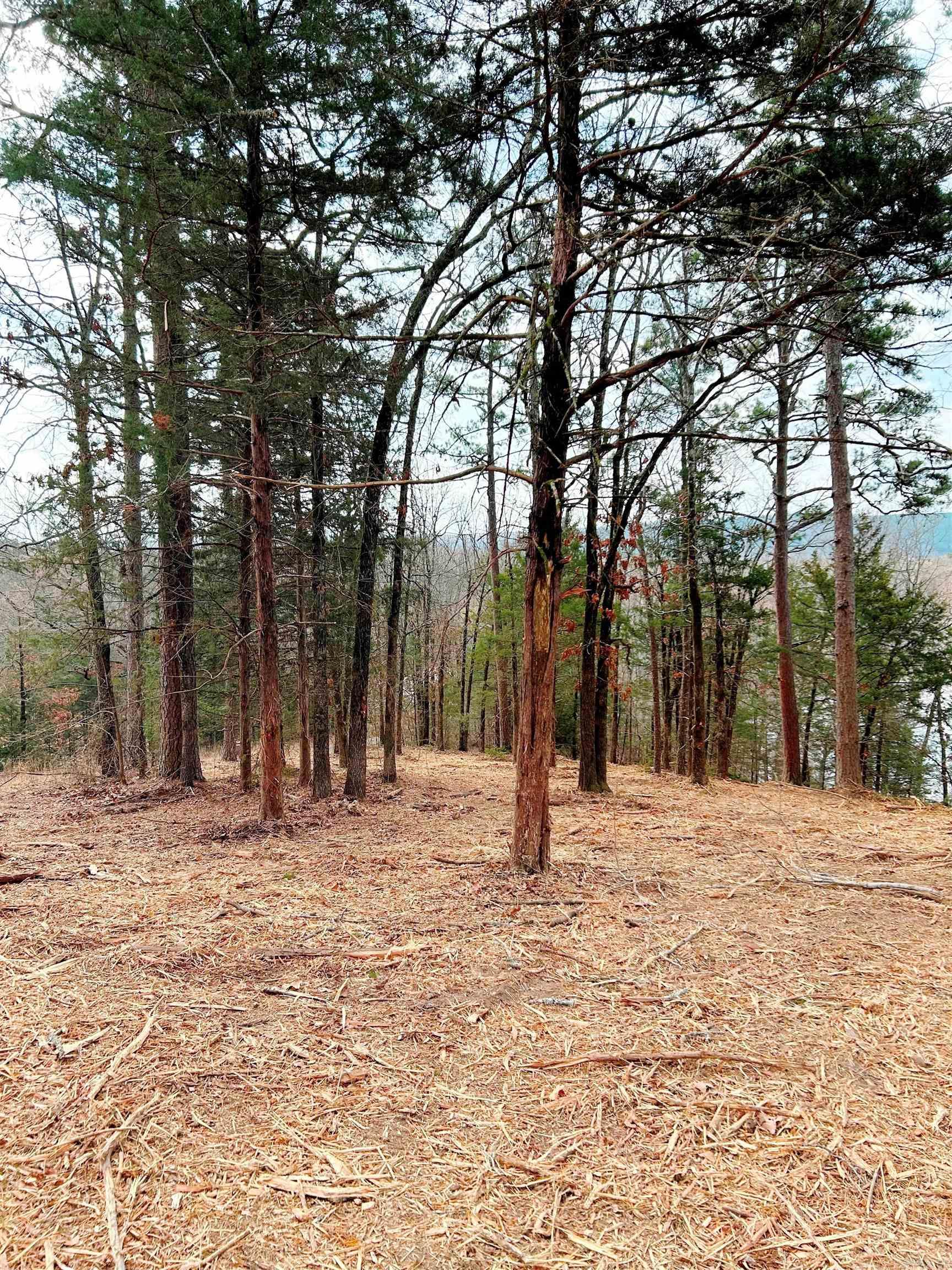 00 Eagle Drive Property Photo 11