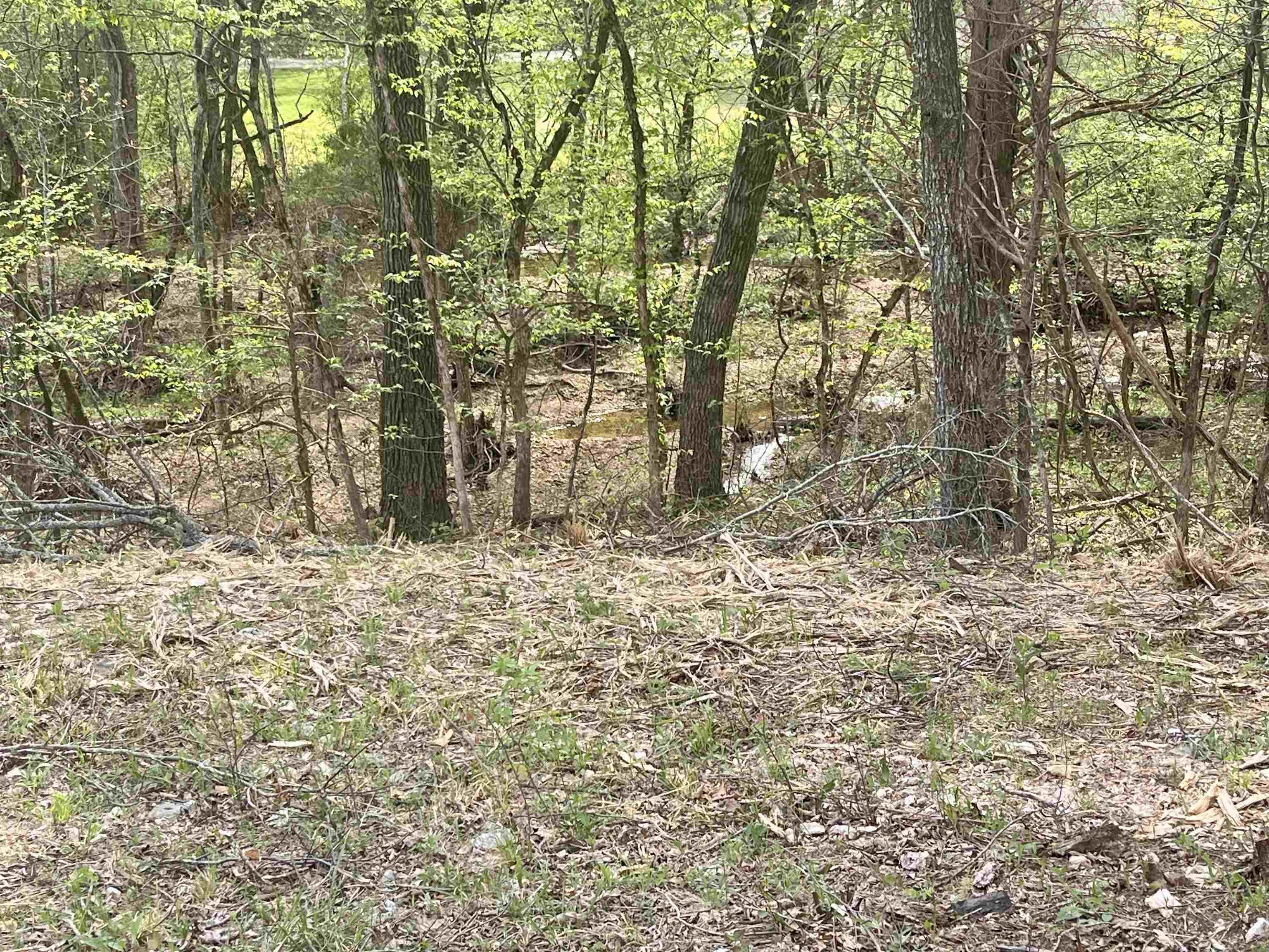 Tbd Rainbow Drive Property Photo 3