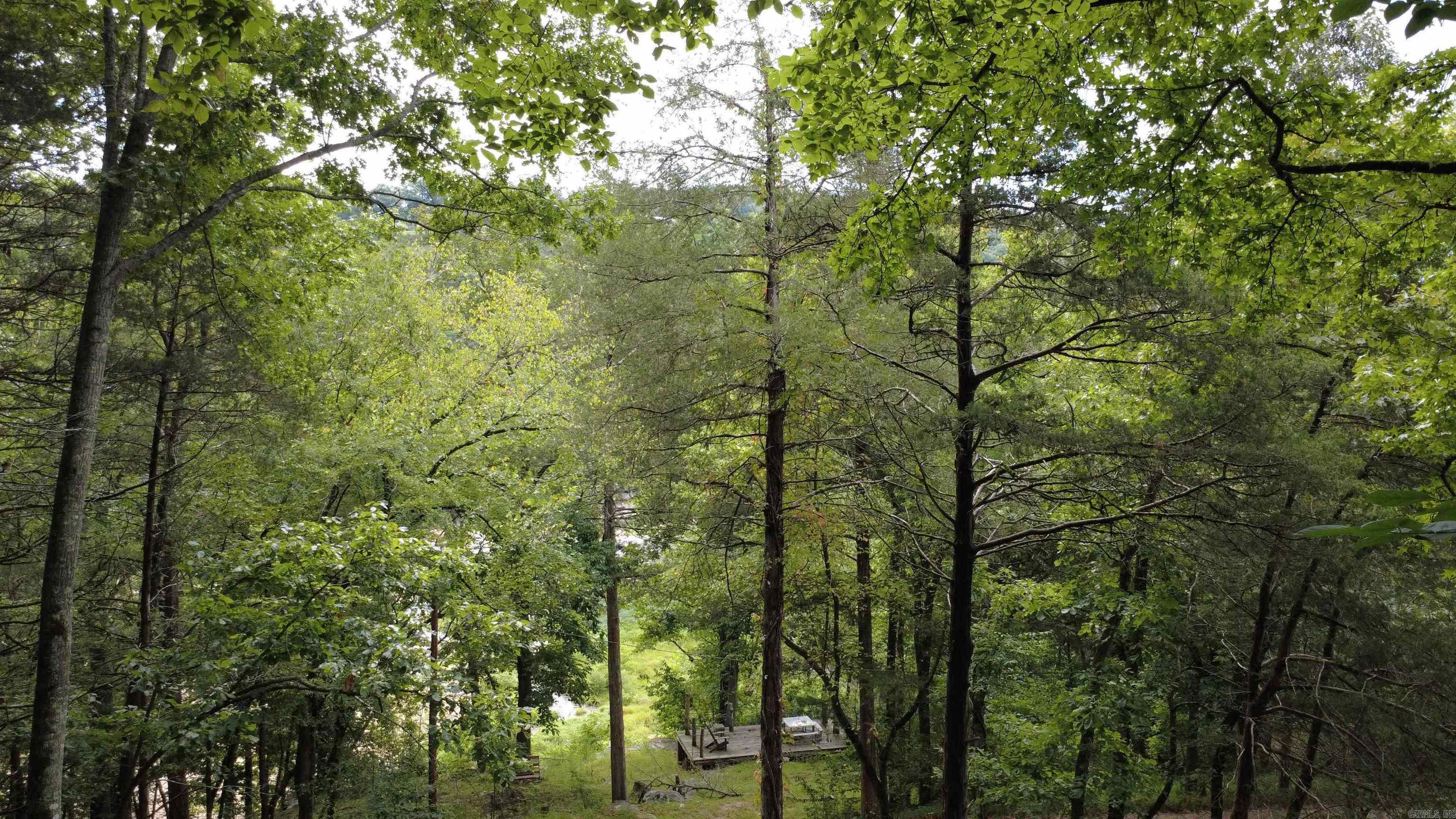 272 And 222 Peace Mountain Road Property Photo 7
