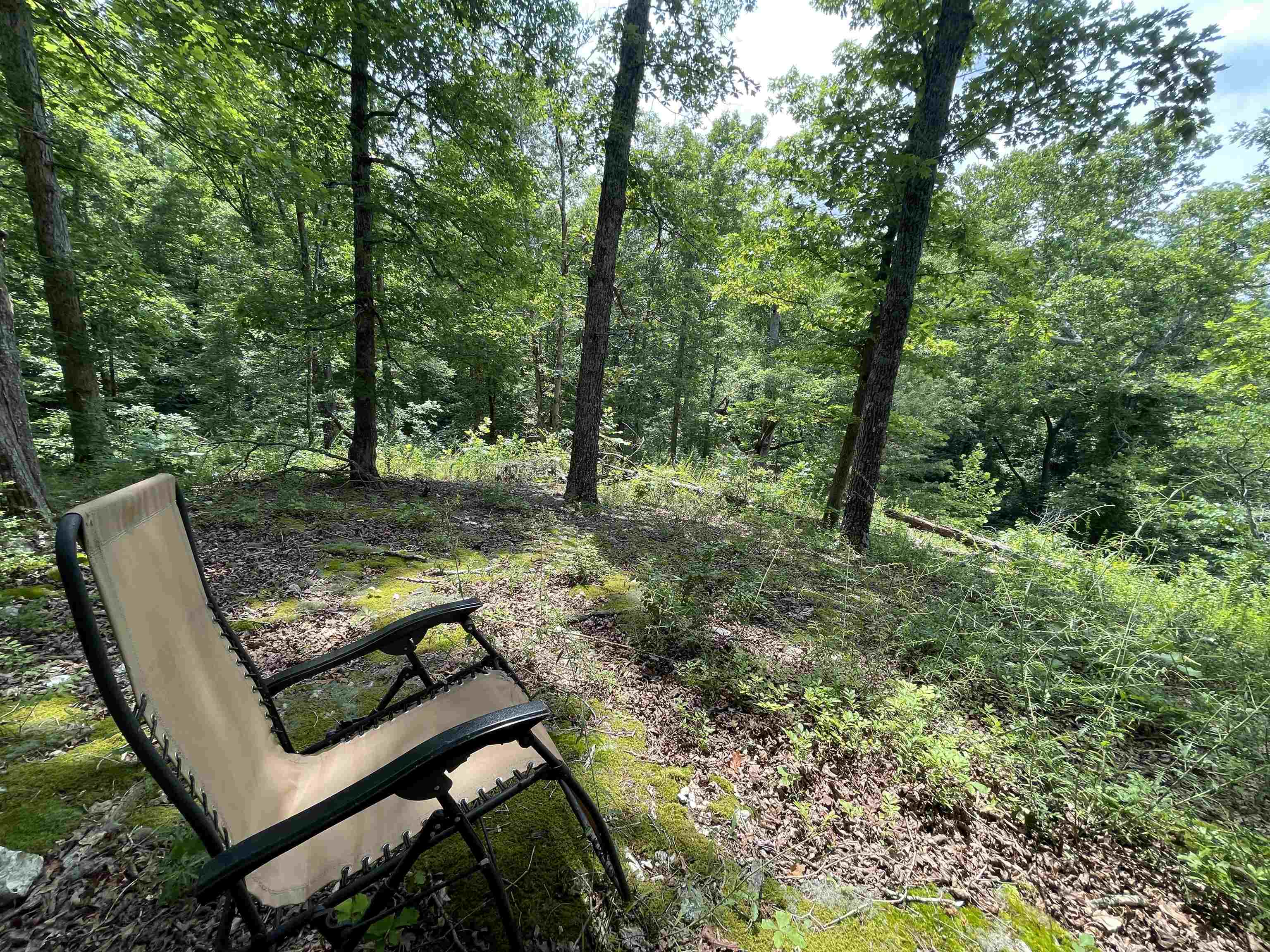 Tbd Off S 63 Highway Highway Property Photo 2