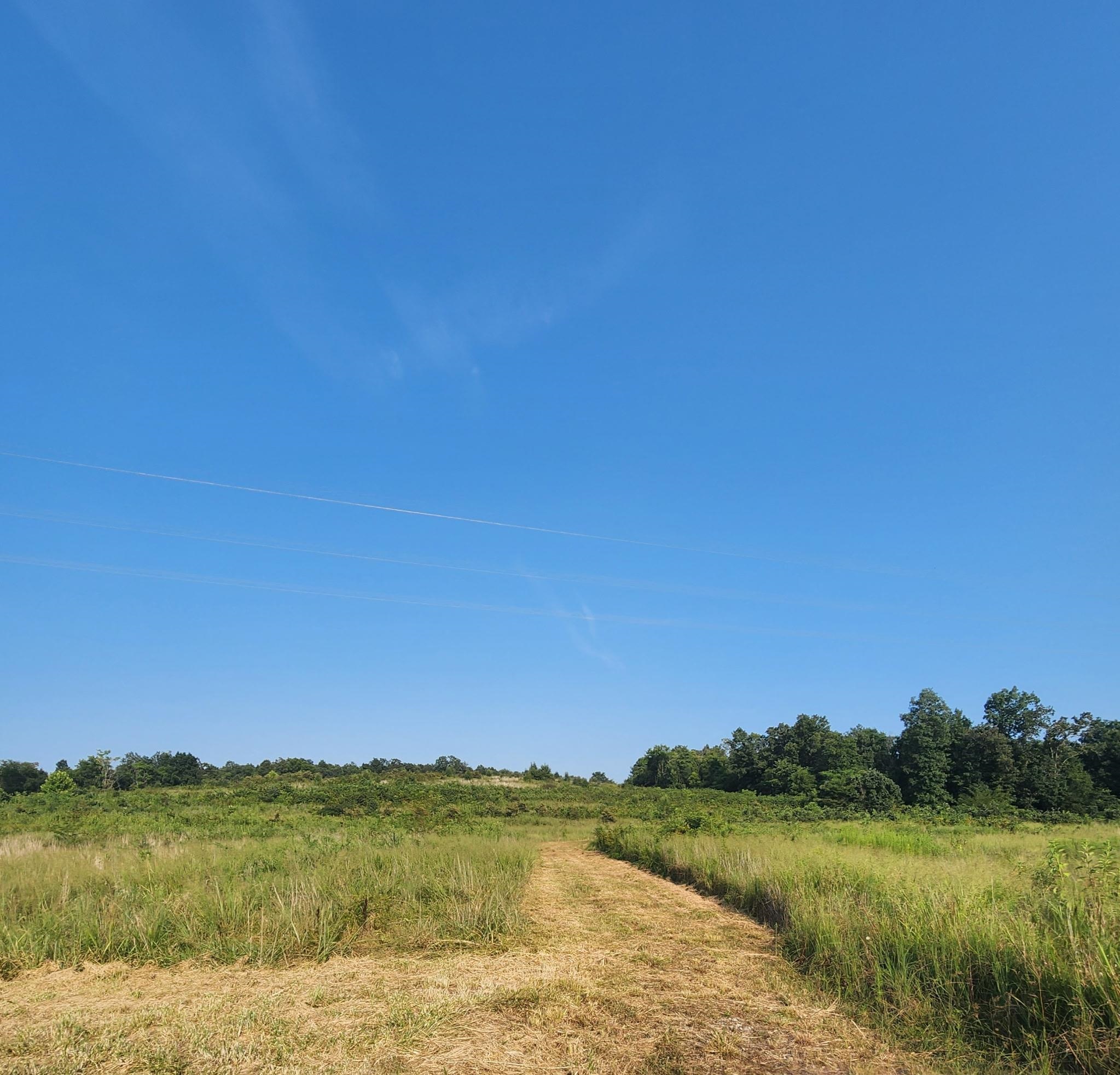 Tbd Off S 63 Highway Highway Property Photo 3
