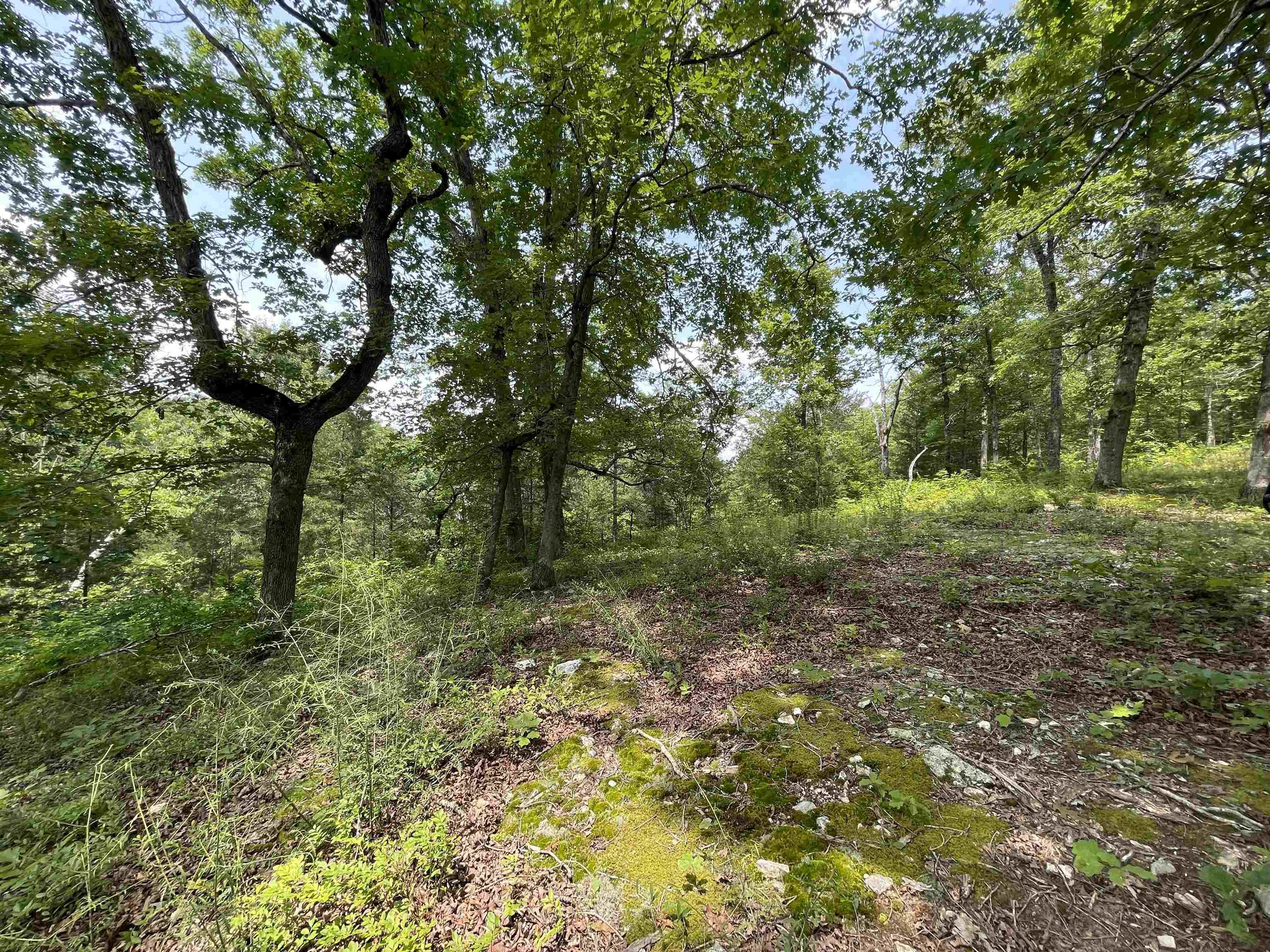 Tbd Off S 63 Highway Highway Property Photo 4