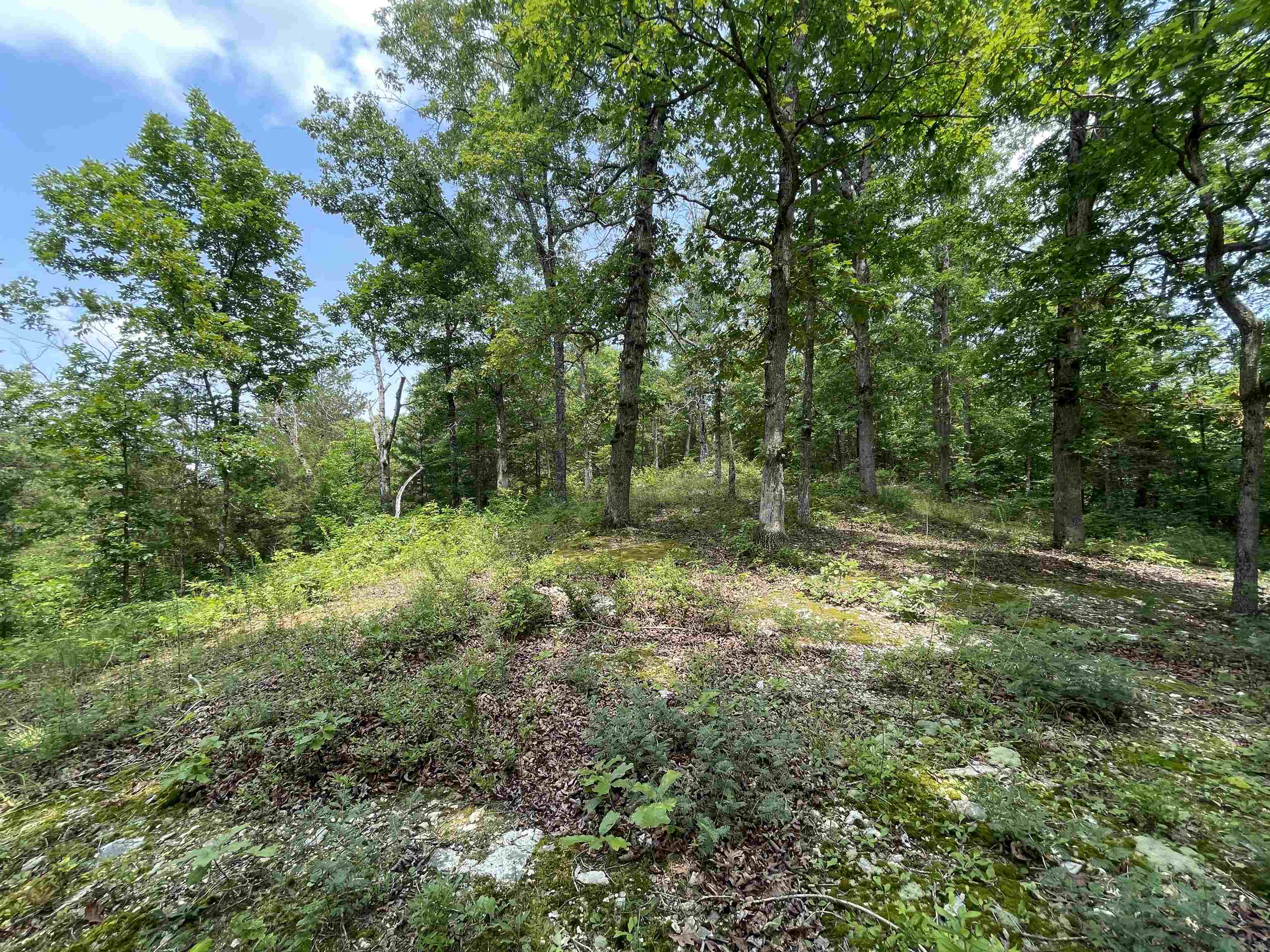 Tbd Off S 63 Highway Highway Property Photo 5