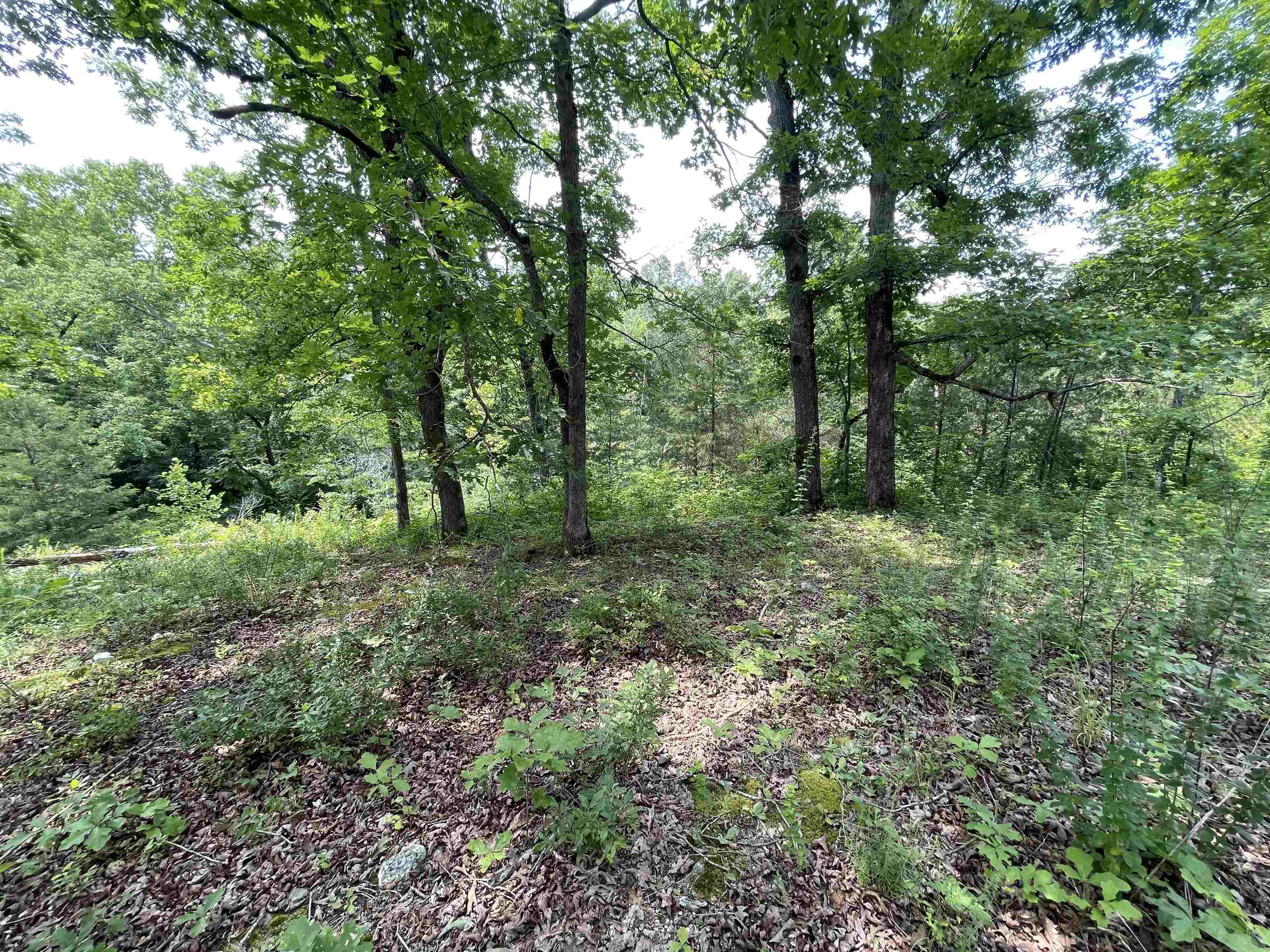 Tbd Off S 63 Highway Highway Property Photo 6