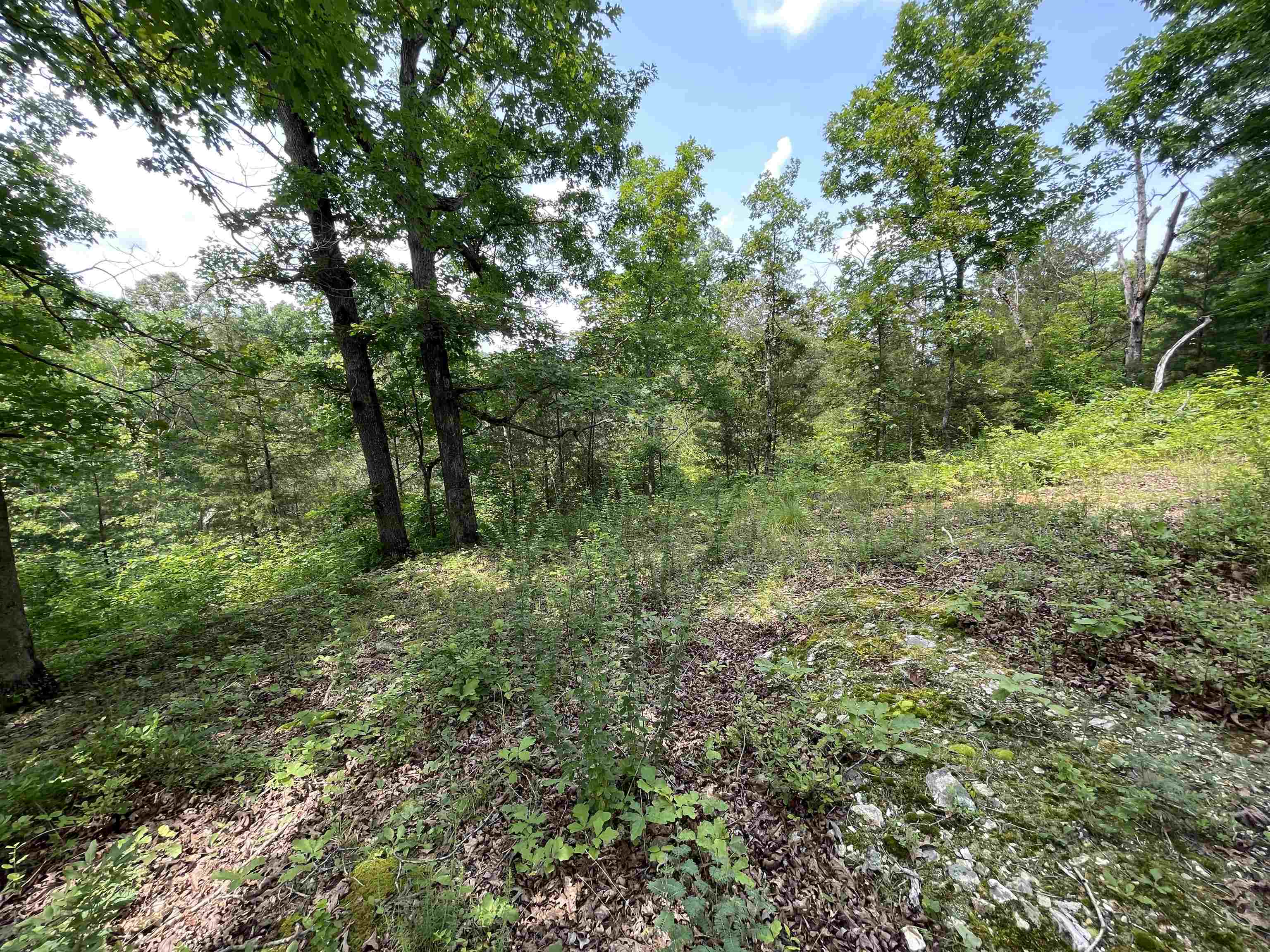 Tbd Off S 63 Highway Highway Property Photo 7