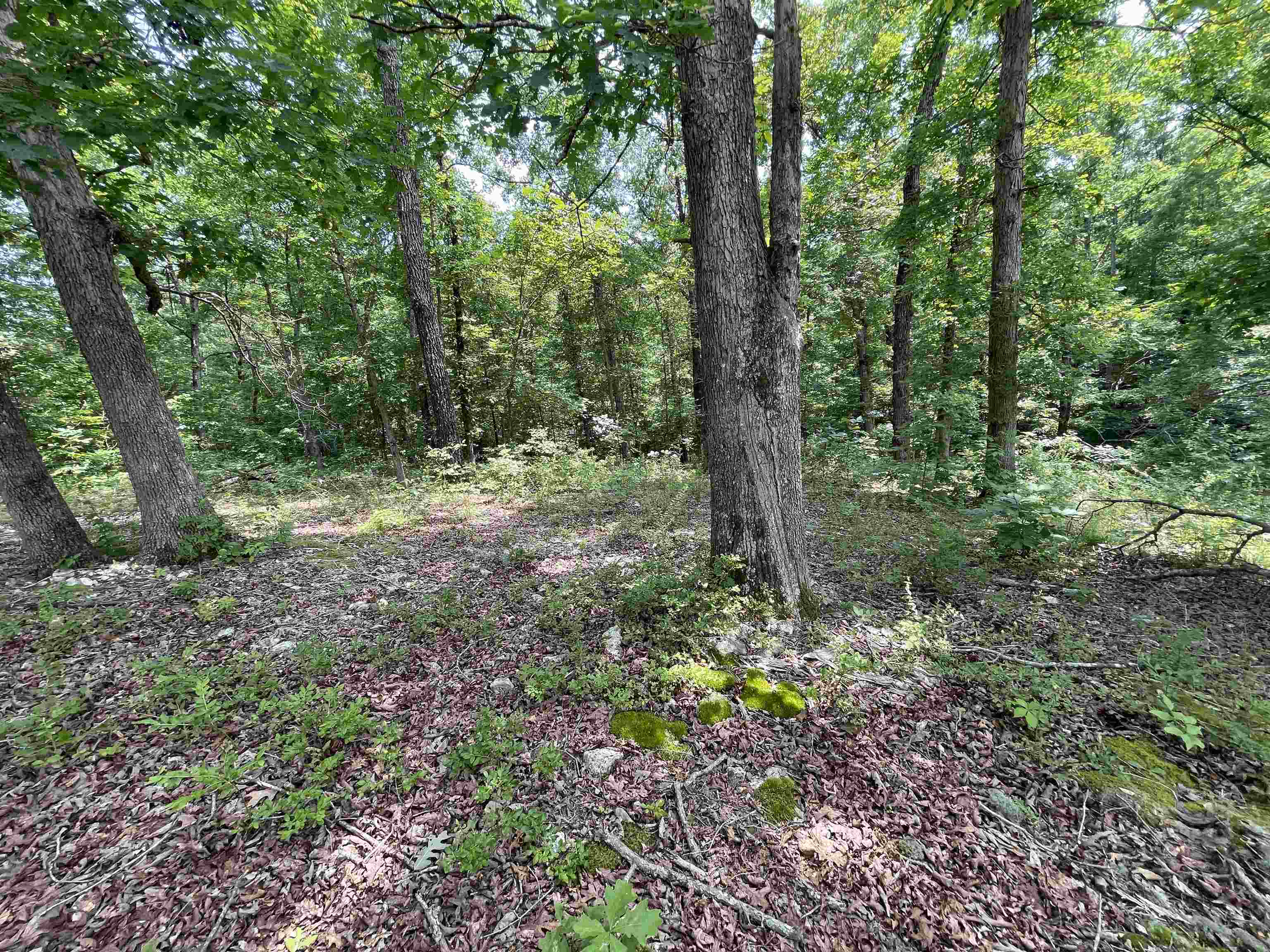 Tbd Off S 63 Highway Highway Property Photo 8