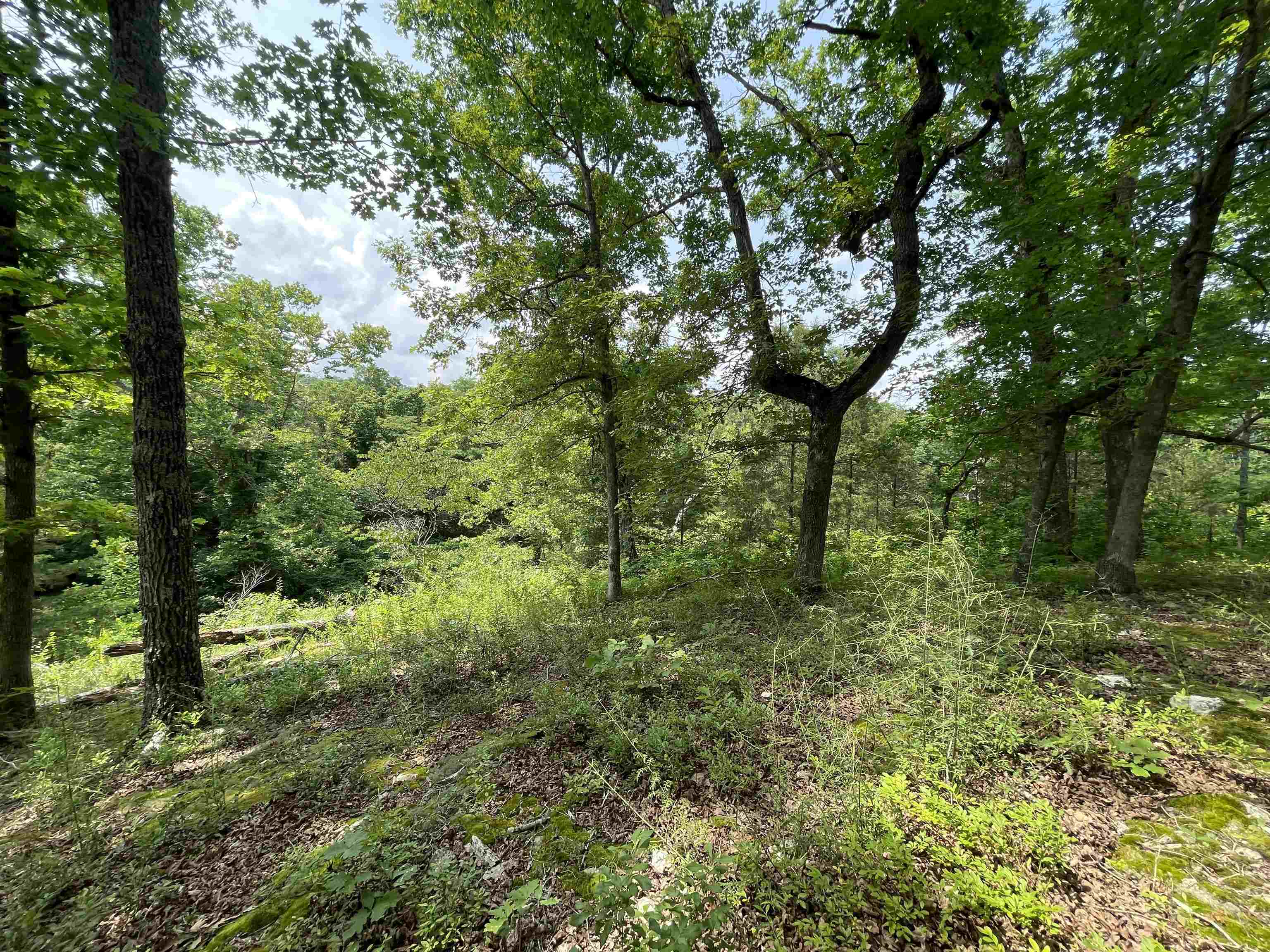 Tbd Off S 63 Highway Highway Property Photo 9