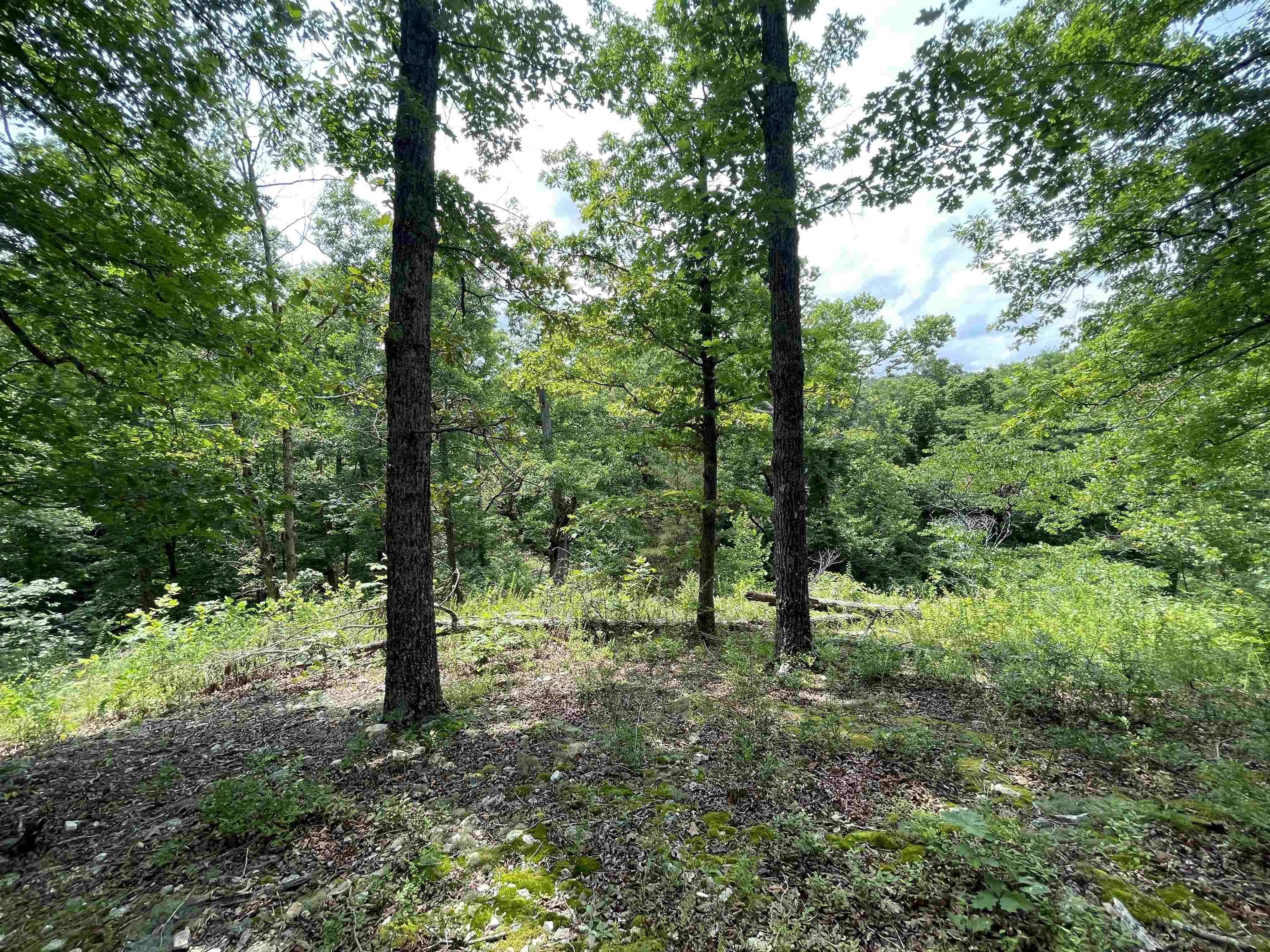 Tbd Off S 63 Highway Highway Property Photo 10