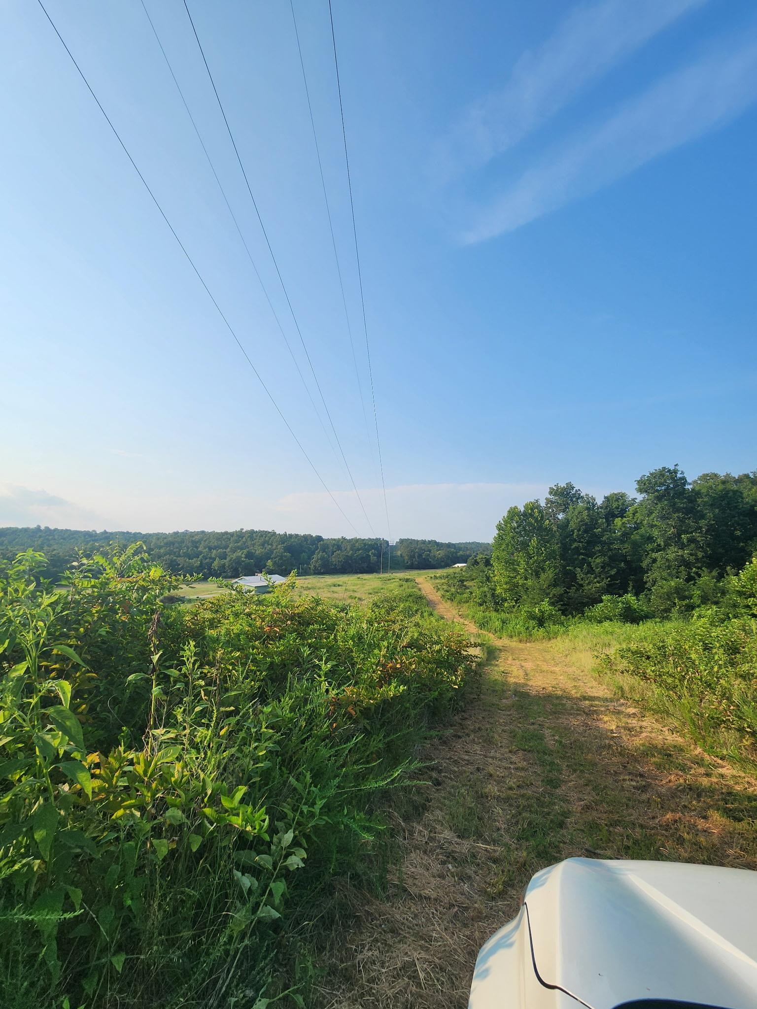 Tbd Off S 63 Highway Highway Property Photo 11