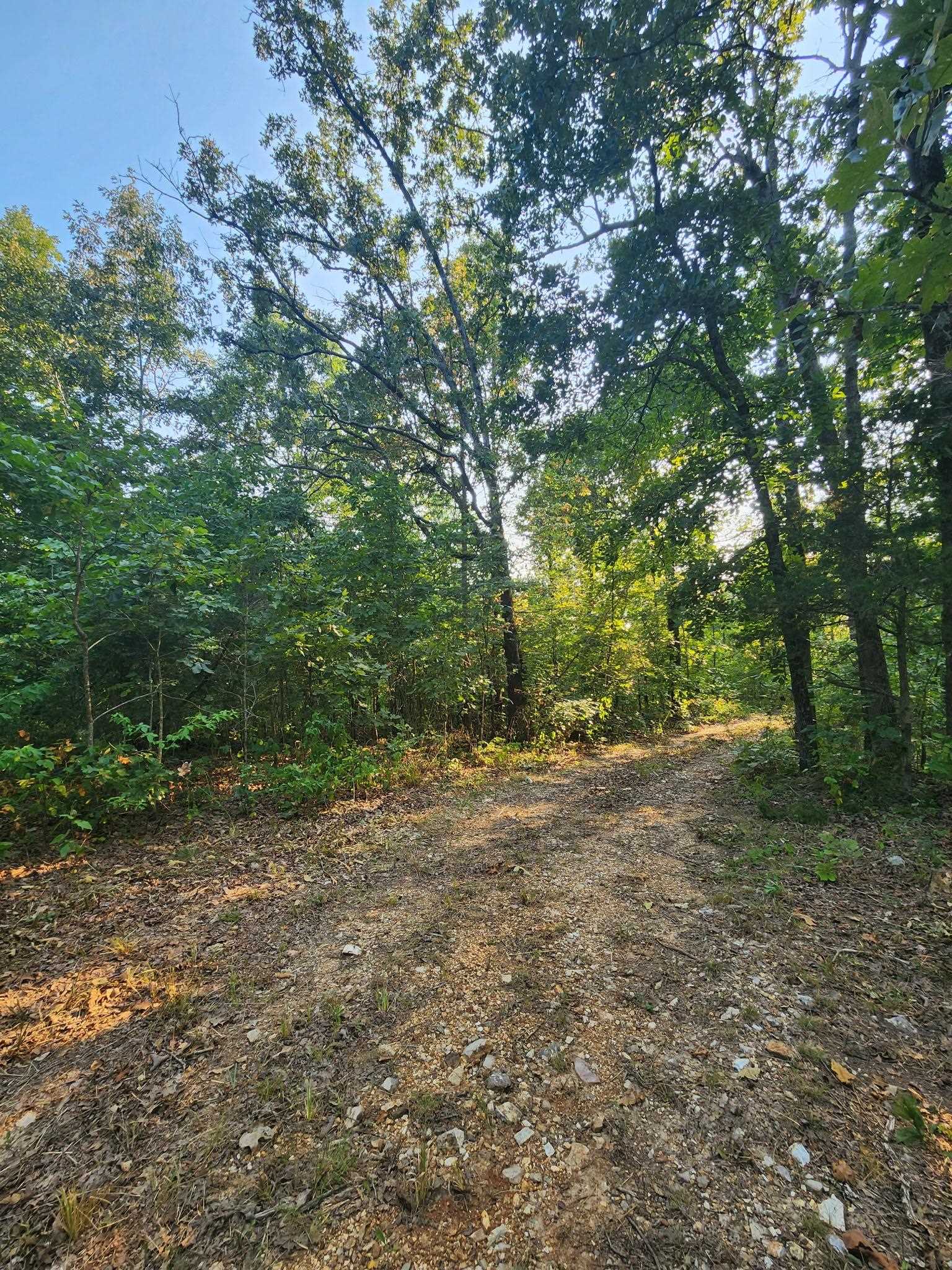 Tbd Off S 63 Highway Highway Property Photo 12