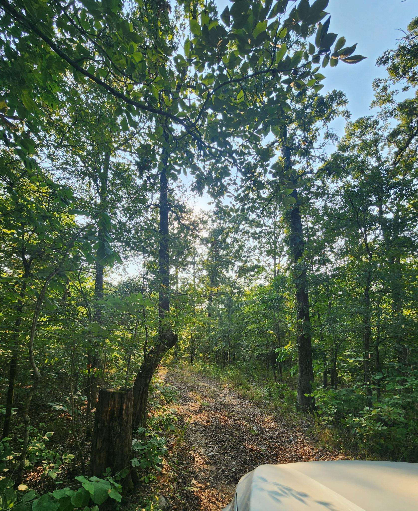 Tbd Off S 63 Highway Highway Property Photo 14