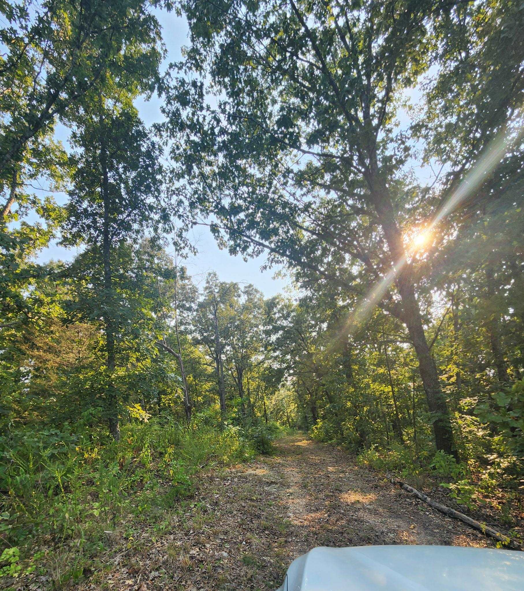 Tbd Off S 63 Highway Highway Property Photo 16