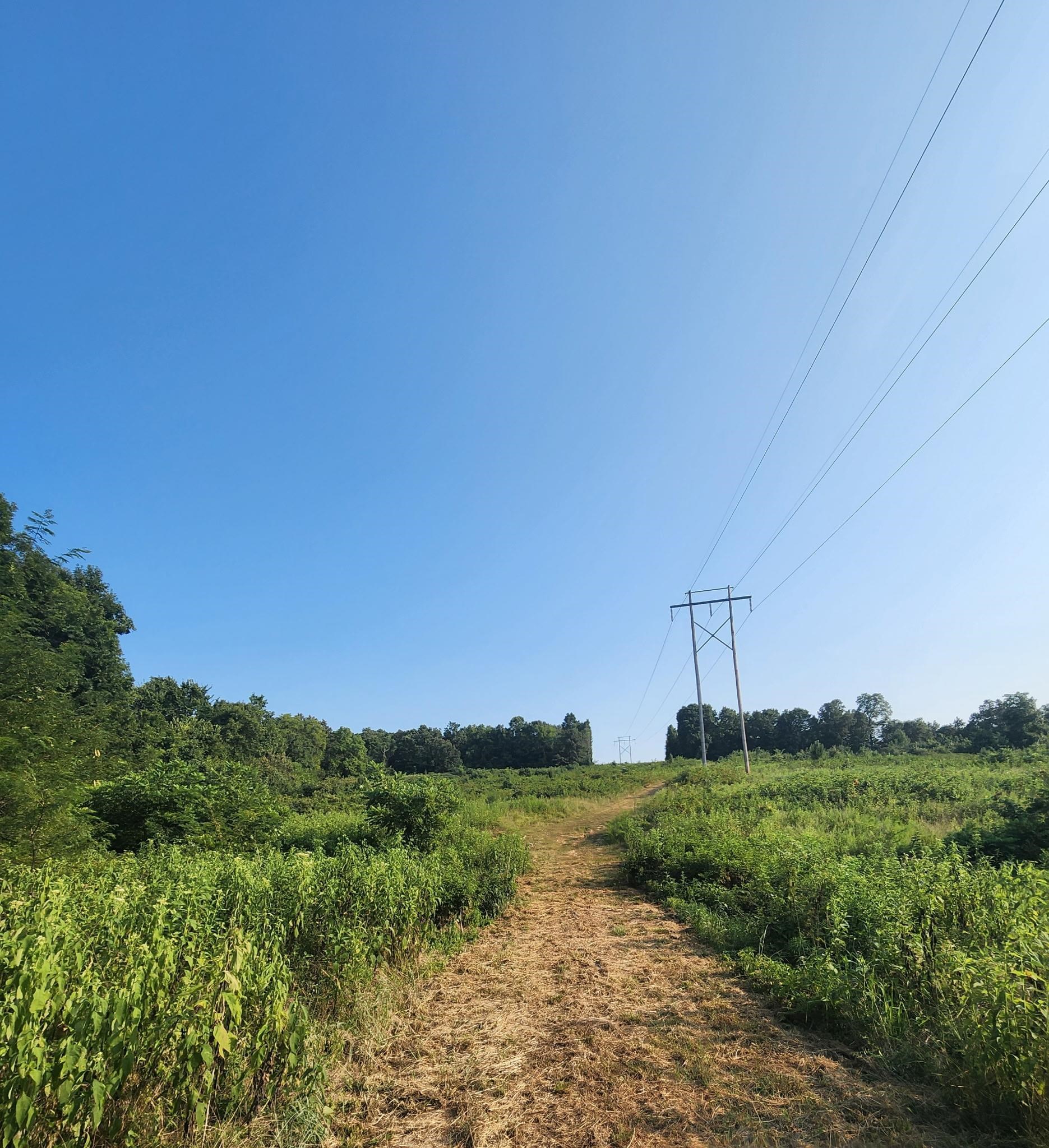Tbd Off S 63 Highway Highway Property Photo 17