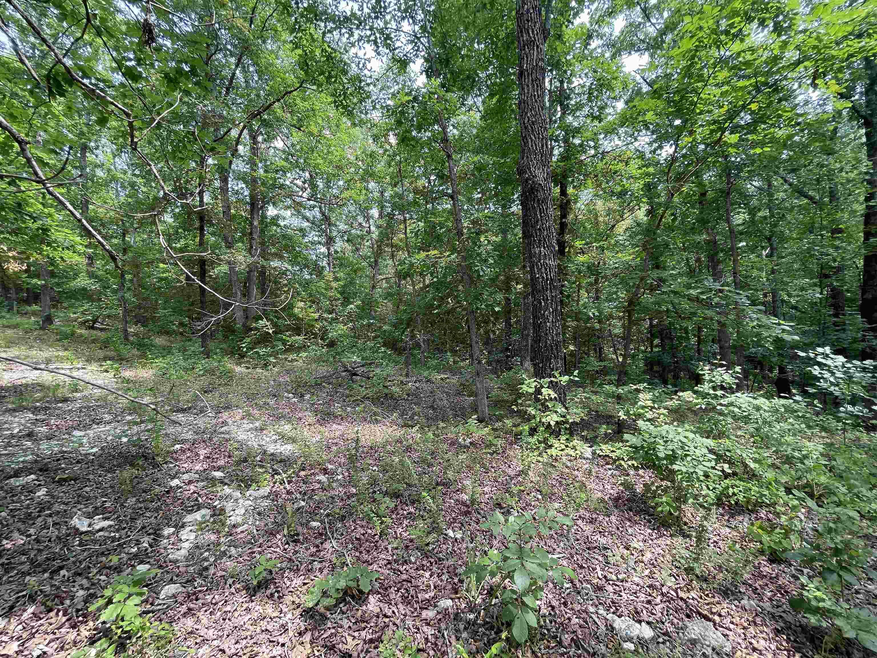 Tbd Off S 63 Highway Highway Property Photo 18