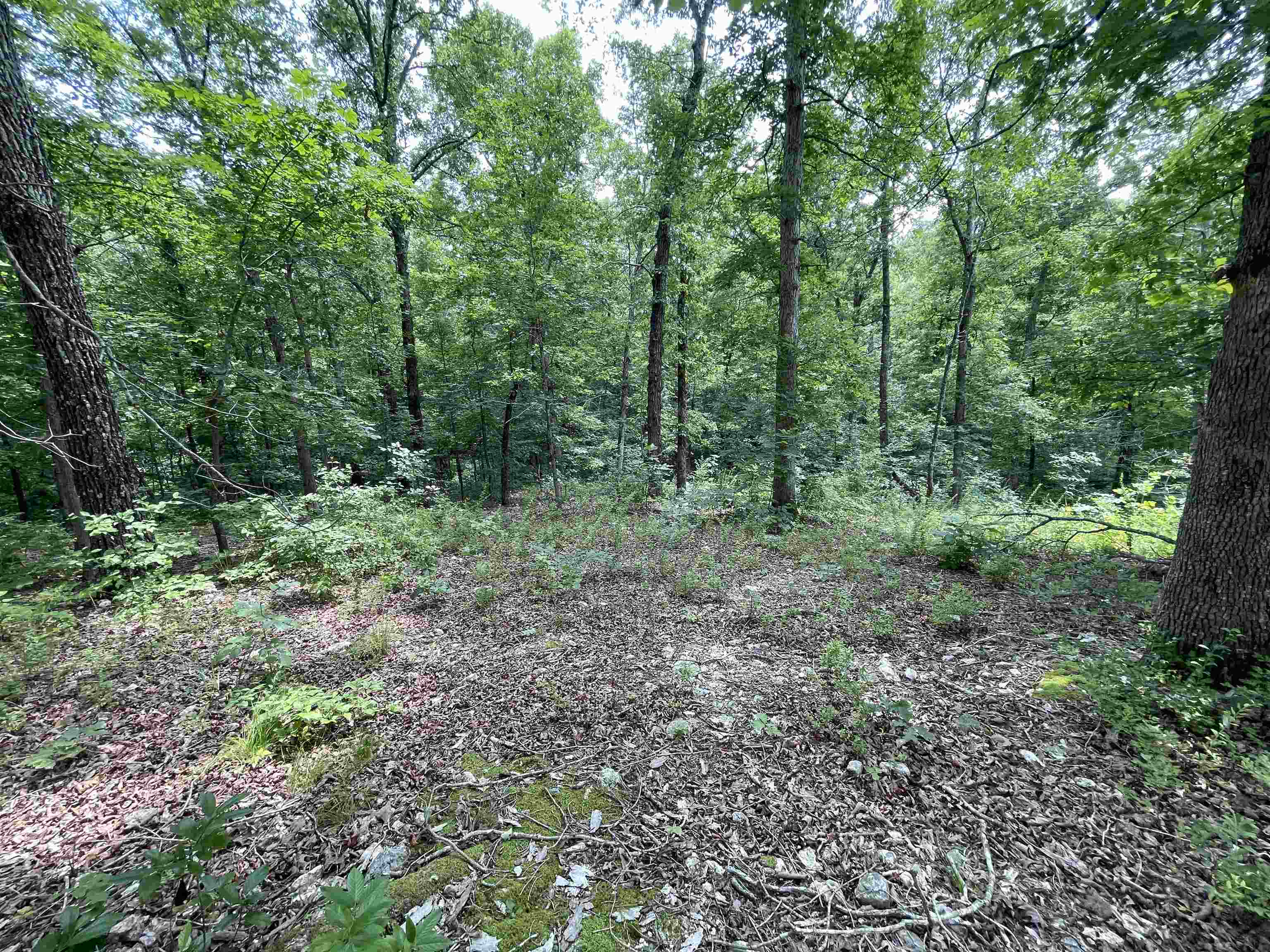 Tbd Off S 63 Highway Highway Property Photo 19
