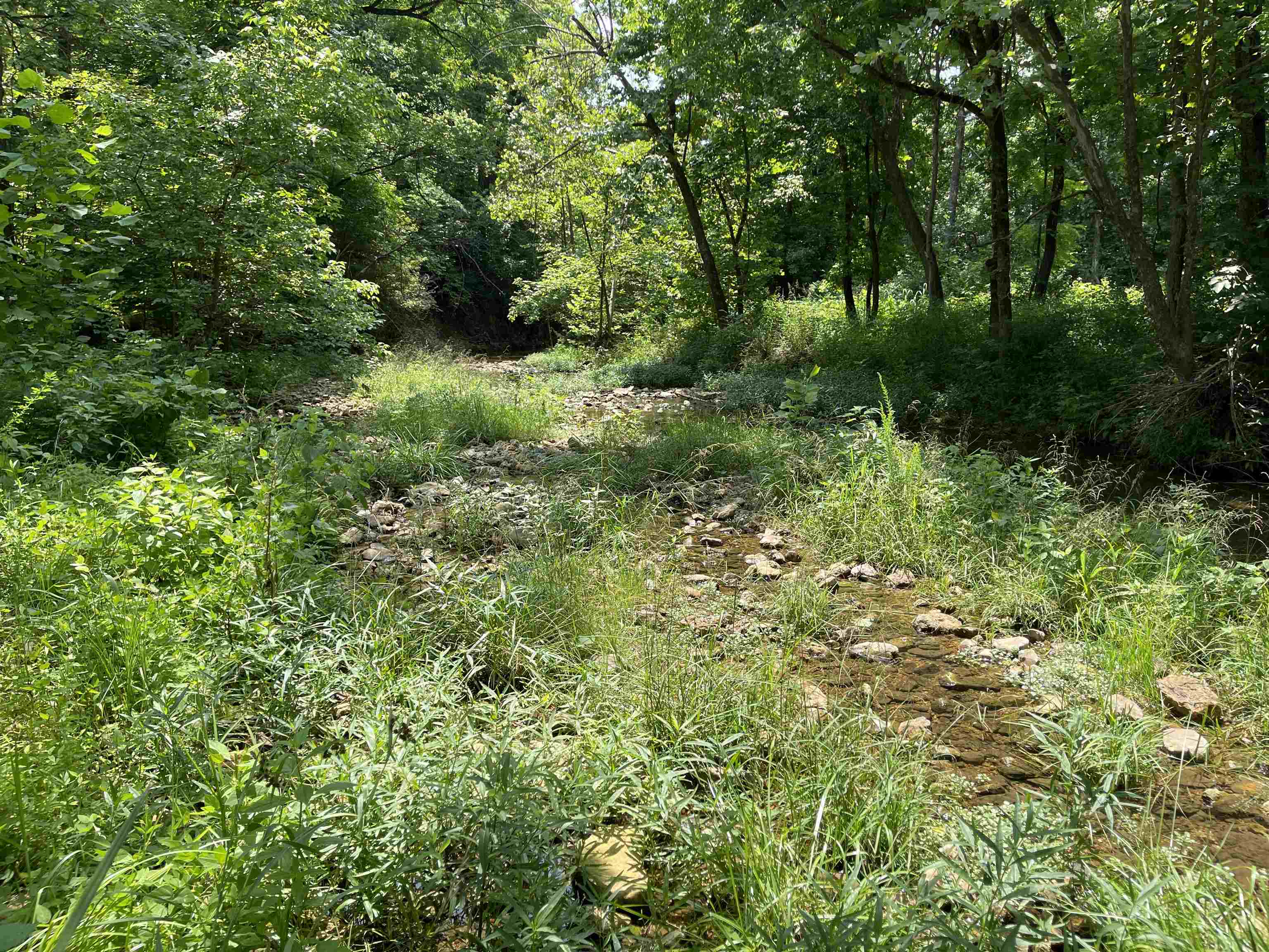 Tbd Off S 63 Highway Highway Property Photo 20