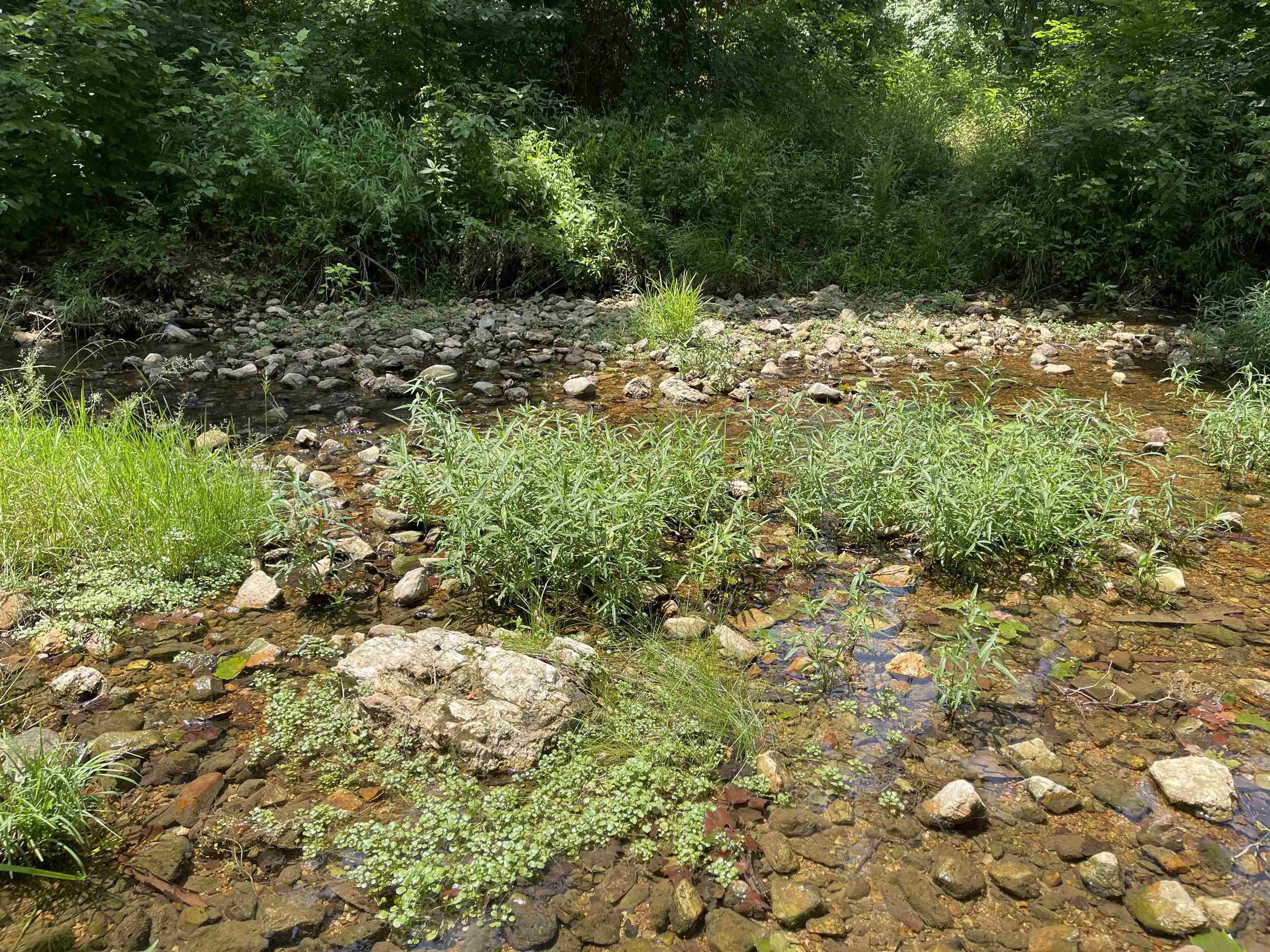 Tbd Off S 63 Highway Highway Property Photo 21